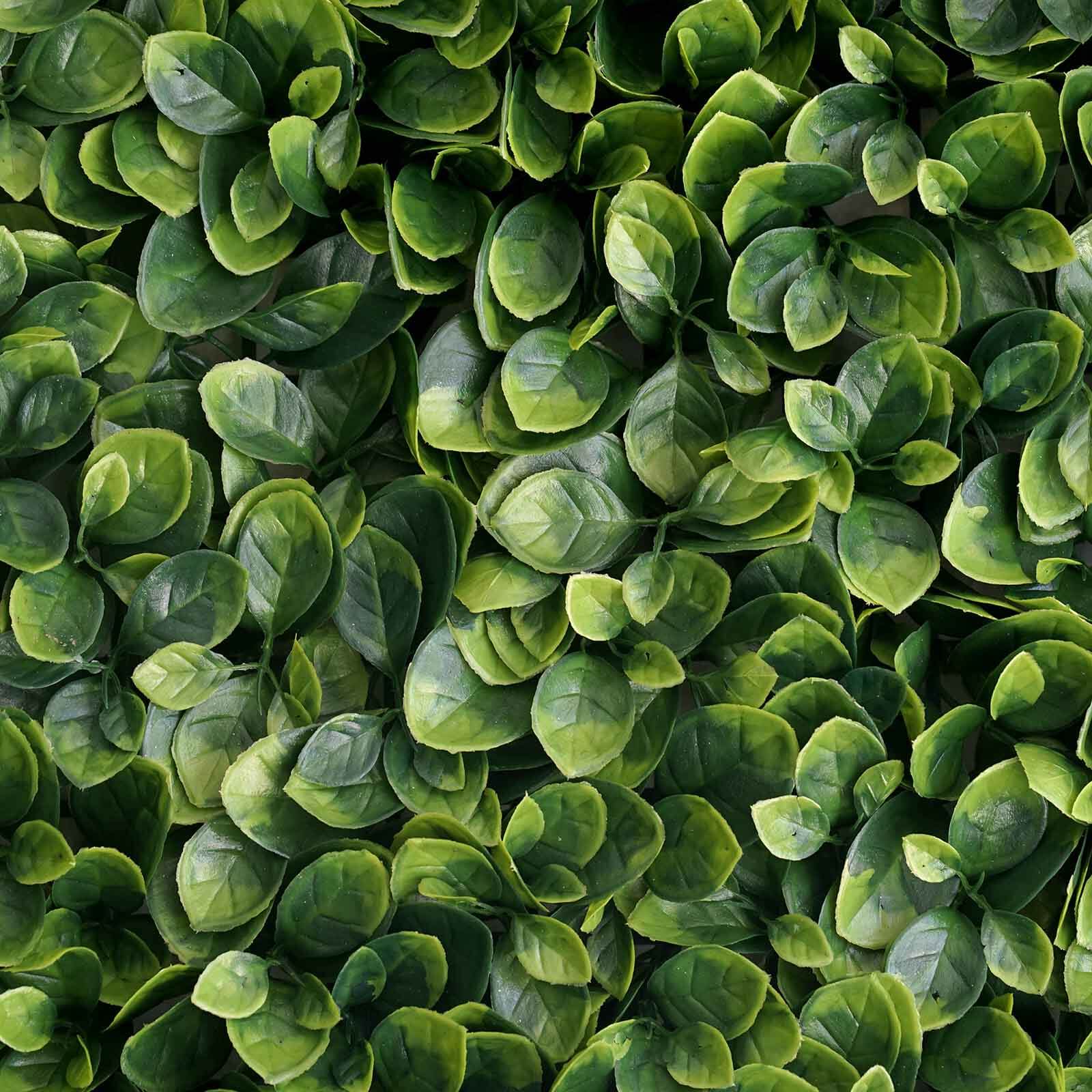 Green Boxwood Hedge Garden Wall Backdrop Mat 4 Artificial Panels 11 Sq ft. - Image 2