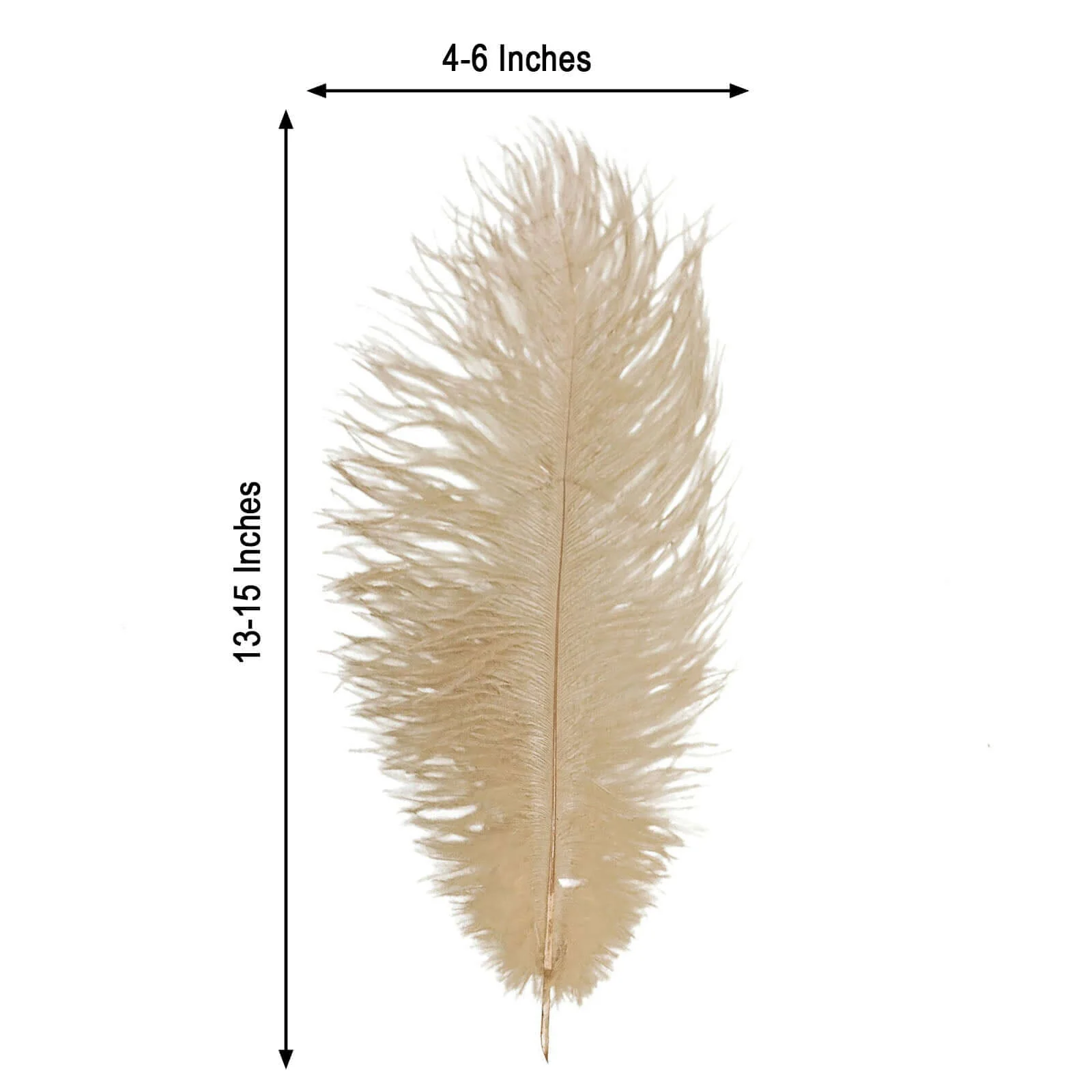12 Pack Beige Natural Plume Real Ostrich Feathers, DIY Centerpiece Fillers 13"-15" - Image 3