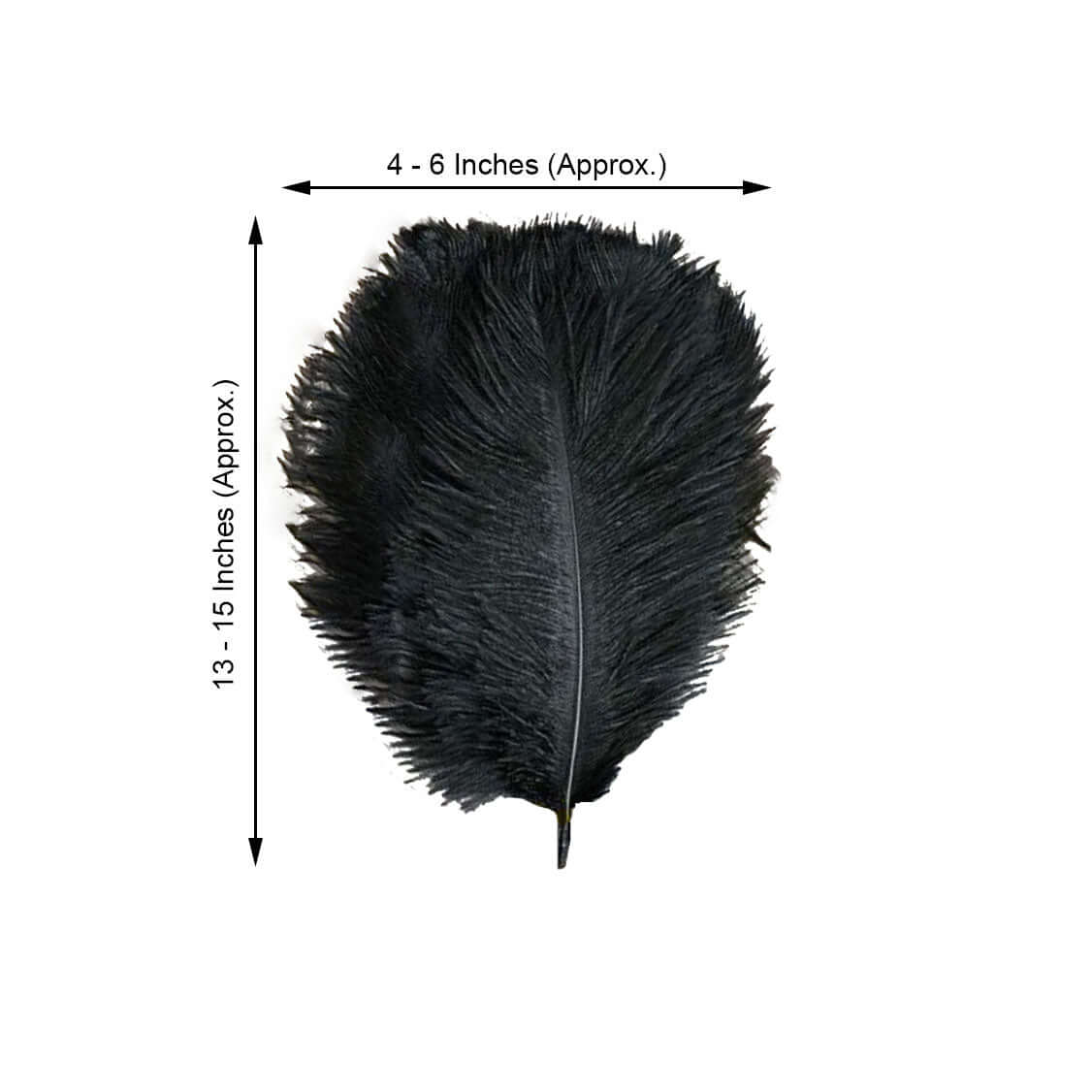 12 Pack Black Natural Plume Real Ostrich Feathers, DIY Centerpiece Fillers 13"-15" - Image 3