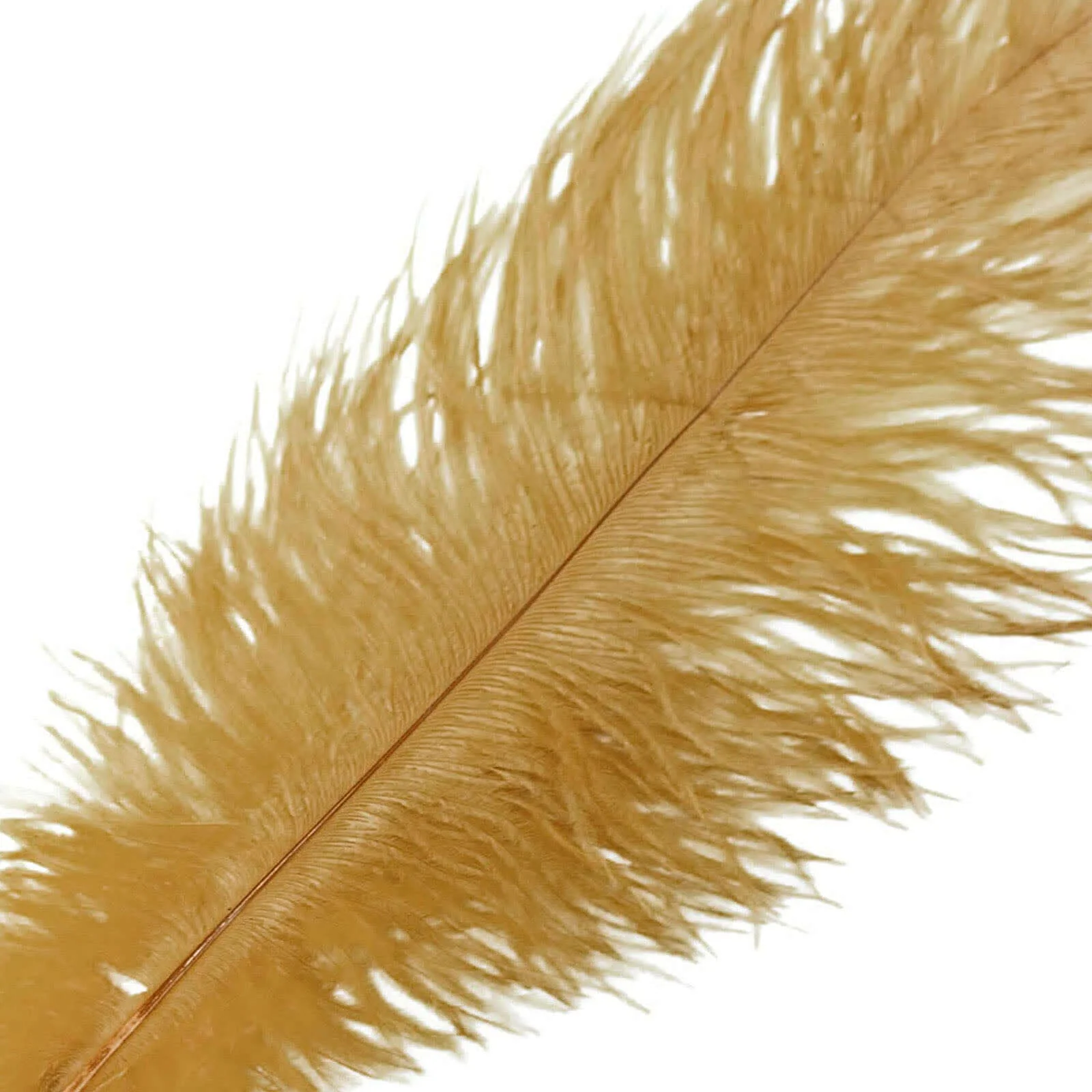 12 Pack Gold Natural Plume Real Ostrich Feathers, DIY Centerpiece Fillers 13"-15" - Image 8