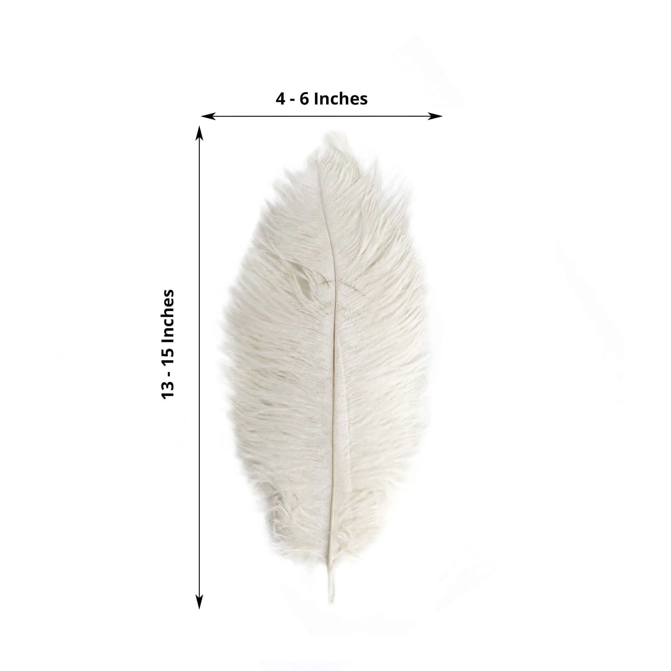 12 Pack Ivory Natural Plume Real Ostrich Feathers, DIY Centerpiece Fillers 13"-15" - Image 3