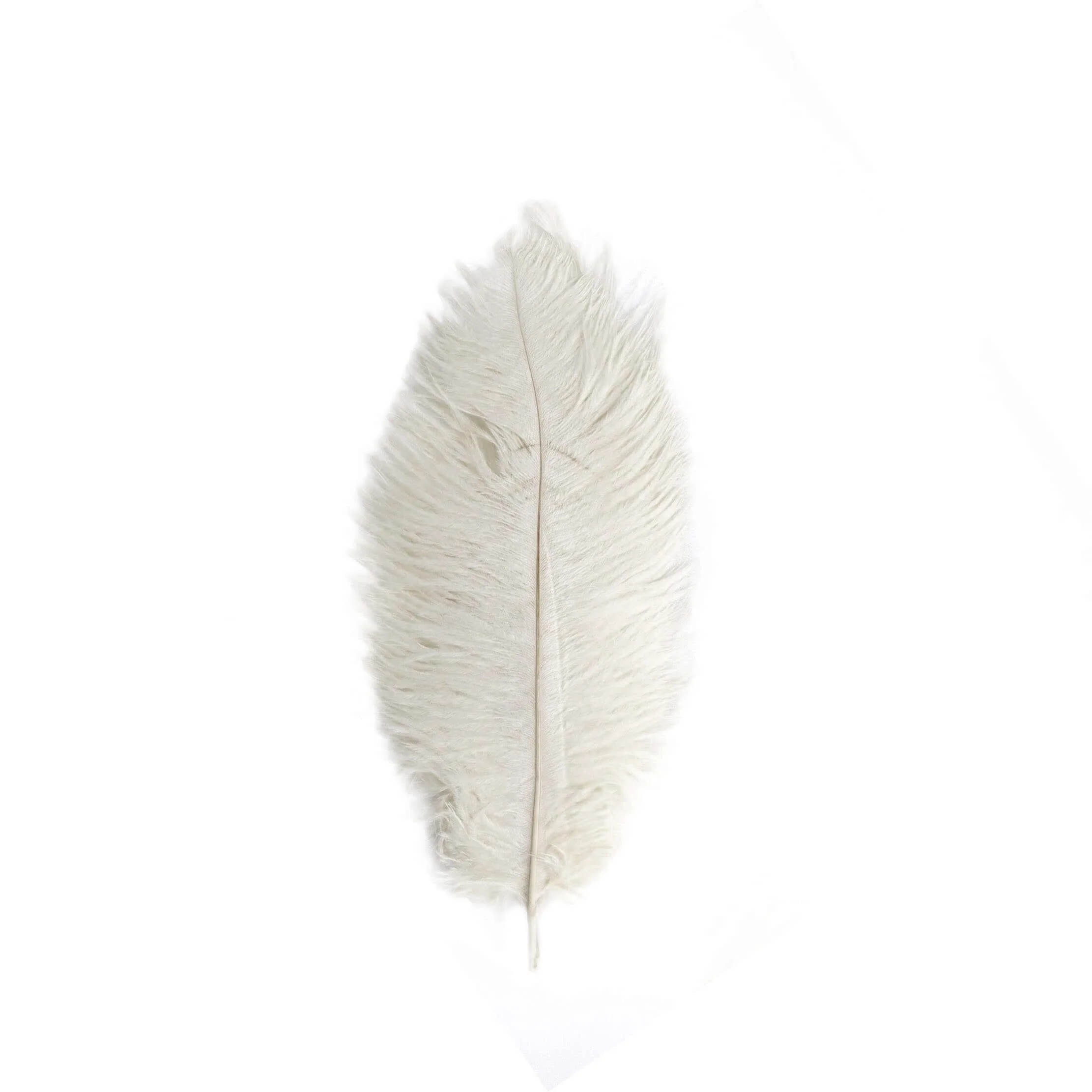 12 Pack Ivory Natural Plume Real Ostrich Feathers, DIY Centerpiece Fillers 13"-15" - Image 6