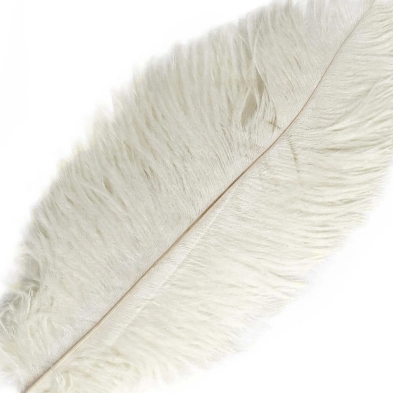 12 Pack Ivory Natural Plume Real Ostrich Feathers, DIY Centerpiece Fillers 13"-15" - Image 8