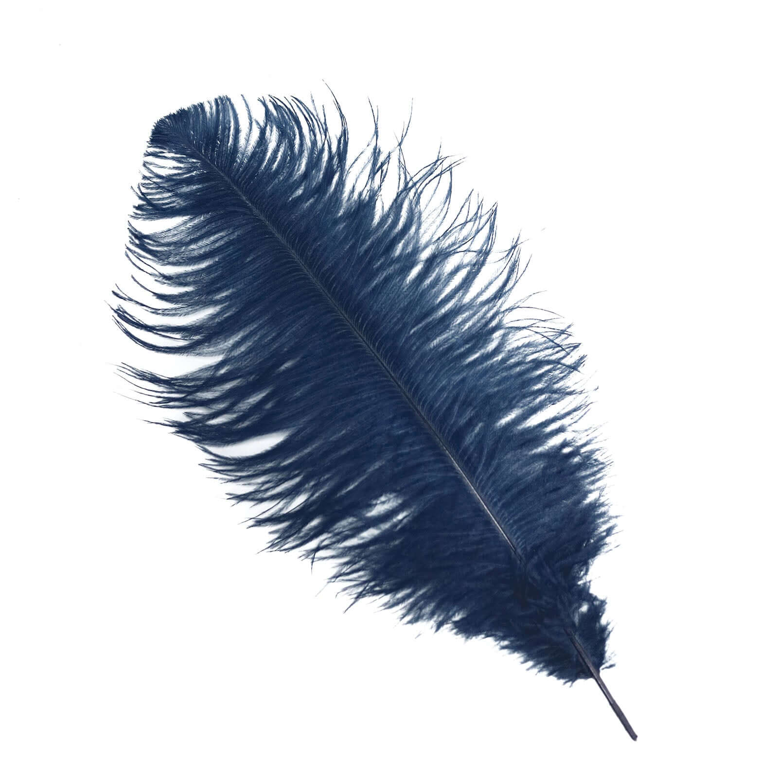 12 Pack Navy Blue Natural Plume Real Ostrich Feathers, DIY Centerpiece Fillers 13"-15" - Image 5