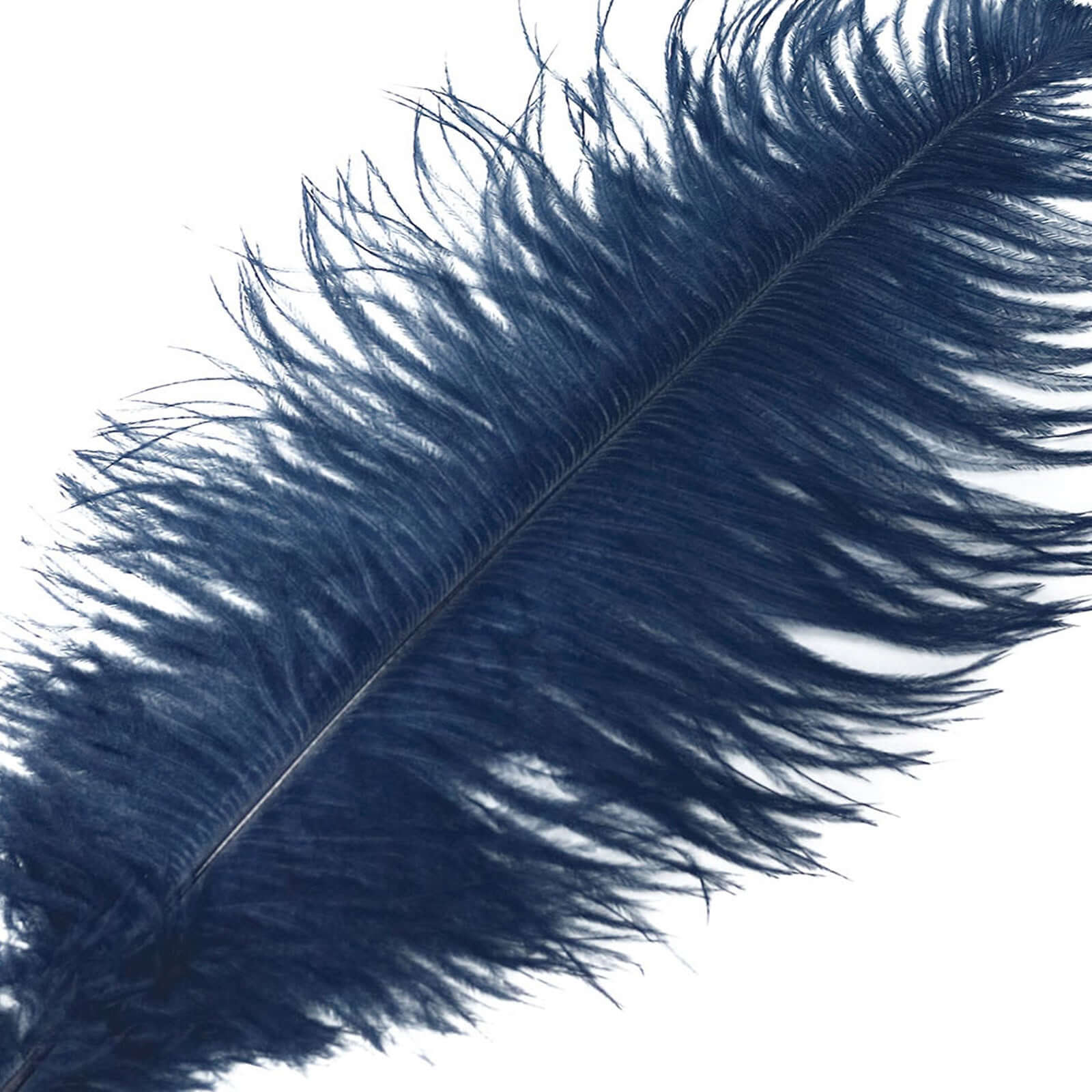 12 Pack Navy Blue Natural Plume Real Ostrich Feathers, DIY Centerpiece Fillers 13"-15" - Image 8