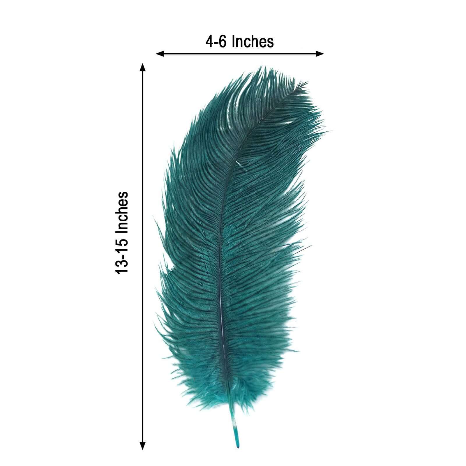 12 Pack Peacock Teal Natural Plume Real Ostrich Feathers, DIY Centerpiece Fillers 13"-15" - Image 3