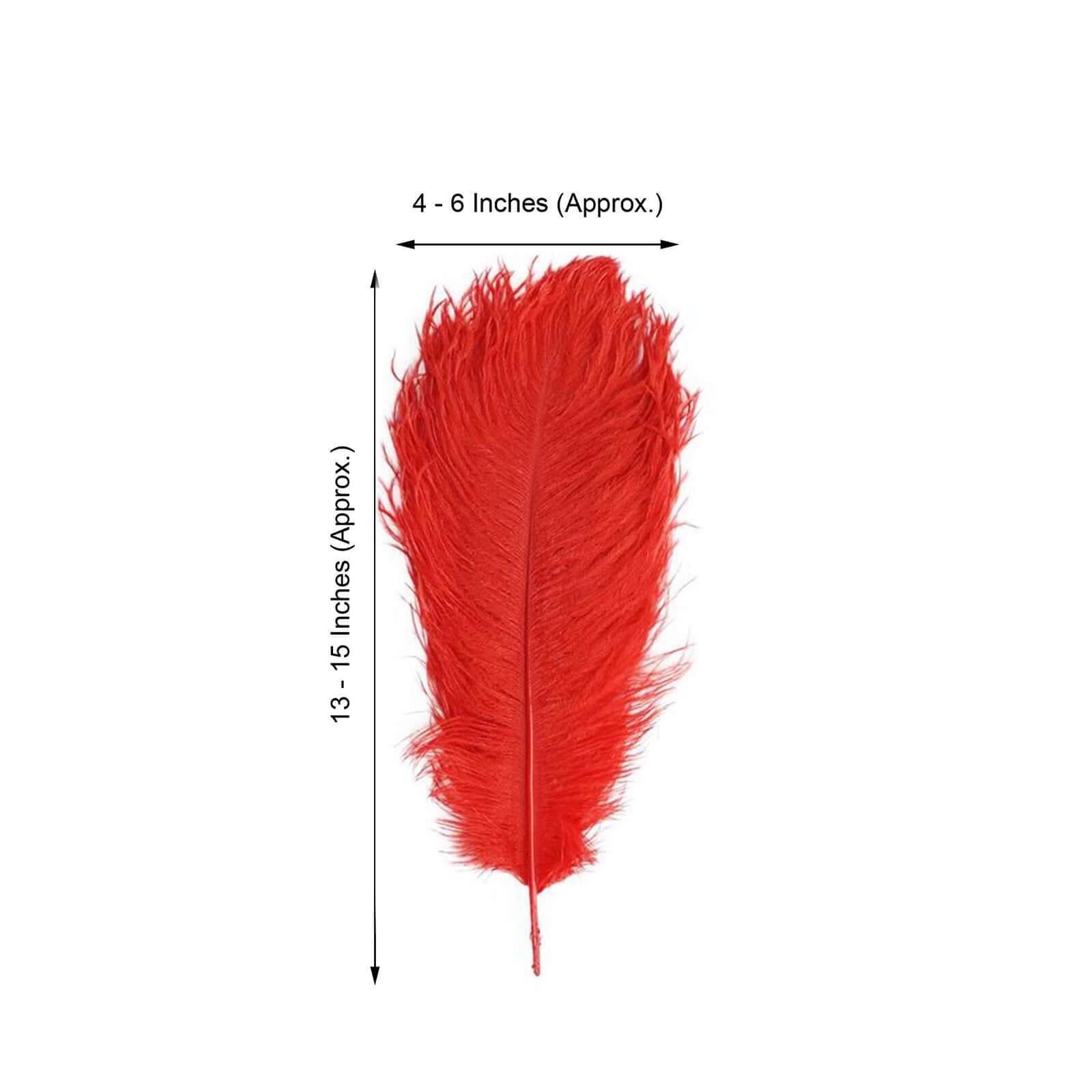 12 Pack Red Natural Plume Real Ostrich Feathers, DIY Centerpiece Fillers 13"-15" - Image 3