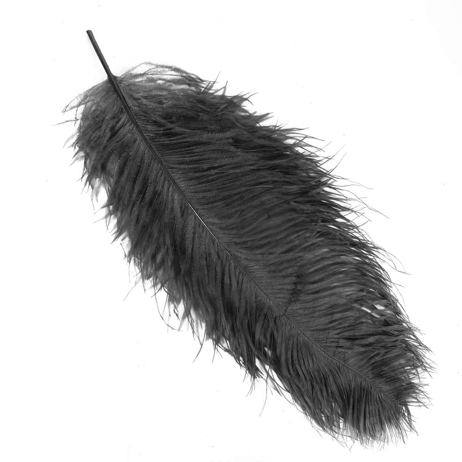 12 Pack Black Natural Plume Ostrich Feathers Centerpiece Filler 24"-26" - Image 6