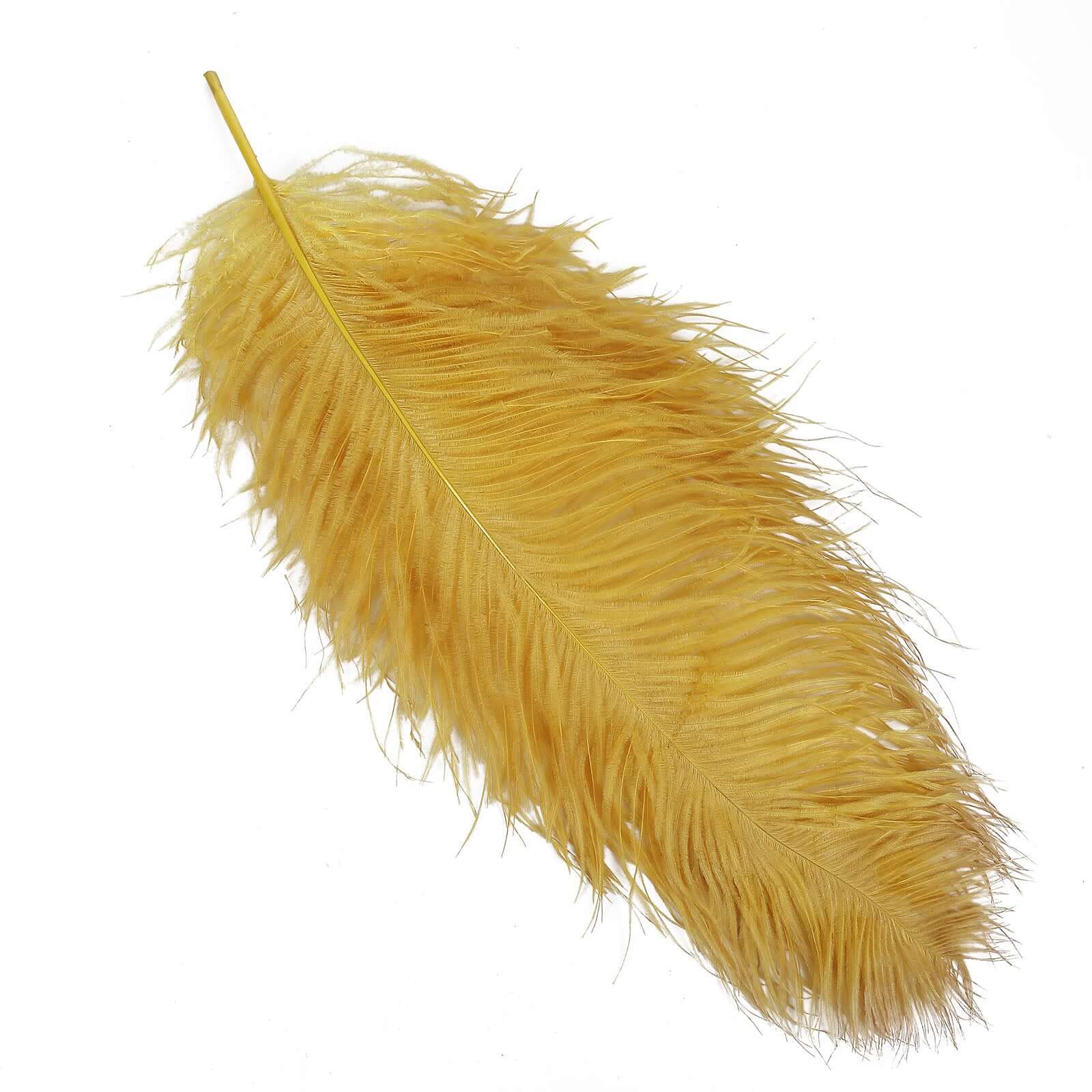 12 Pack Gold Natural Plume Ostrich Feathers Centerpiece Filler 24"-26" - Image 6