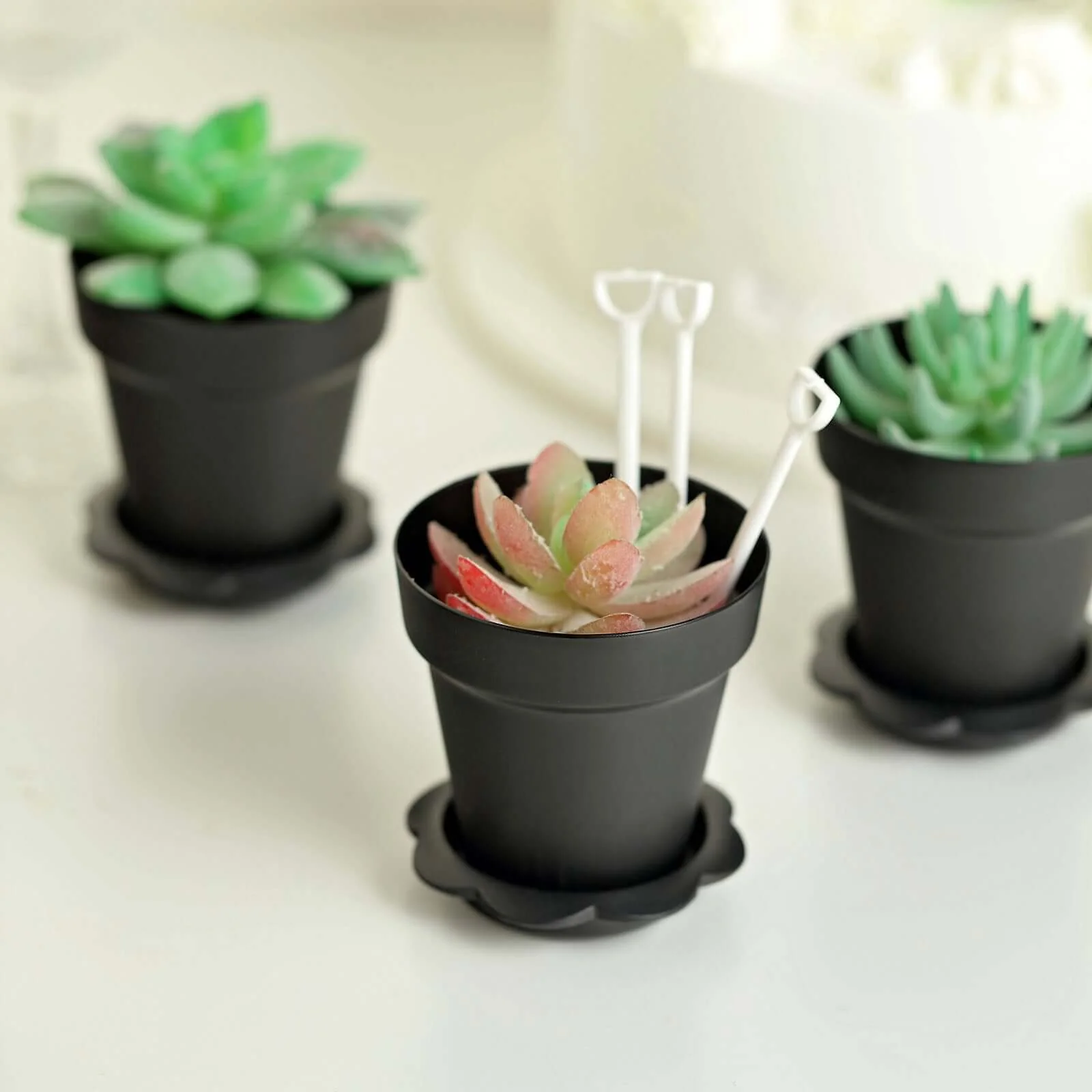 12-Pack Plastic Dessert Cups 4" Succulent Planter Design Black - Includes Clear Lids, Trays, and Shovels - Image 11