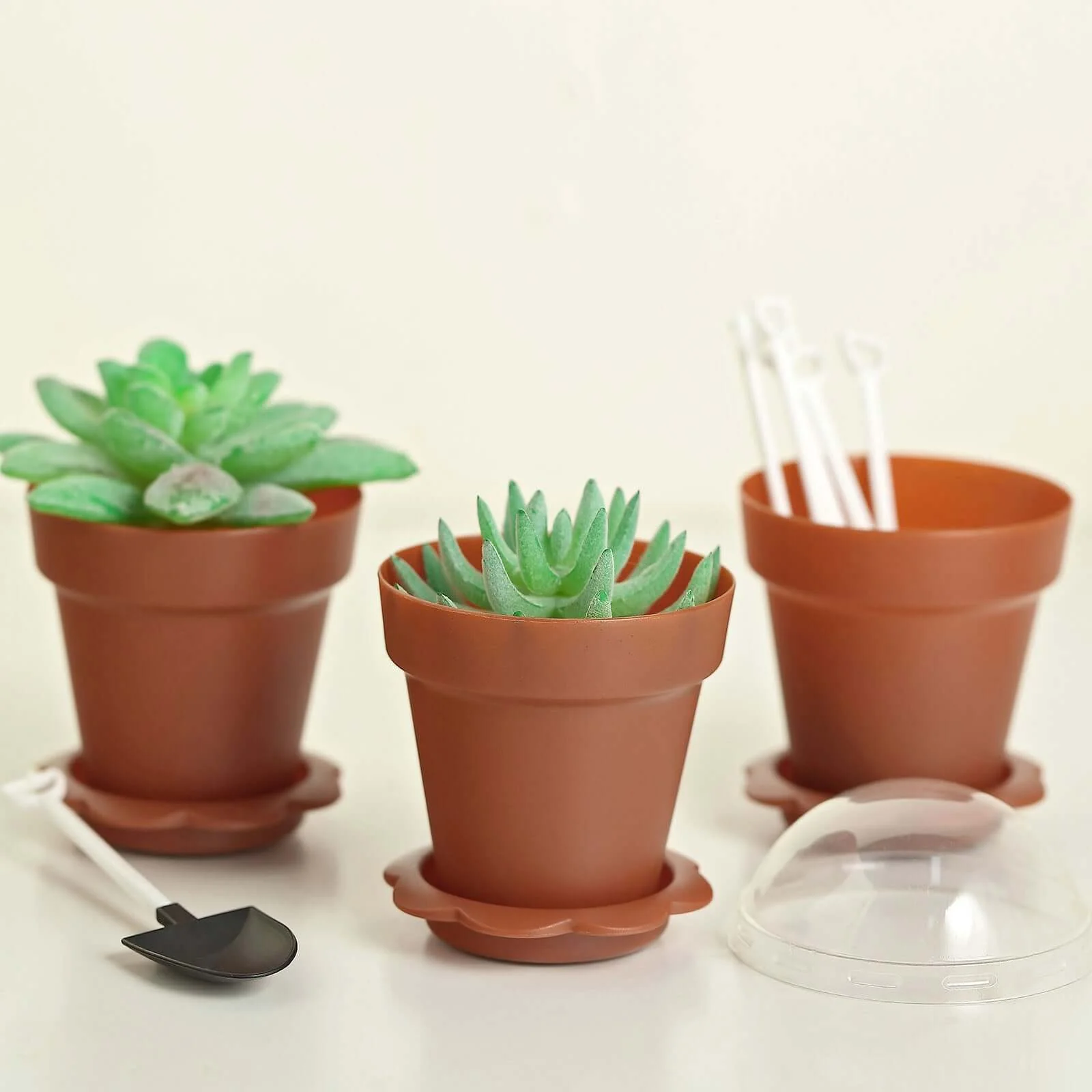 12-Pack Plastic Dessert Cups 4" Succulent Planter Design Terracotta (Rust) - Includes Clear Lids, Trays, and Shovels - Image 2
