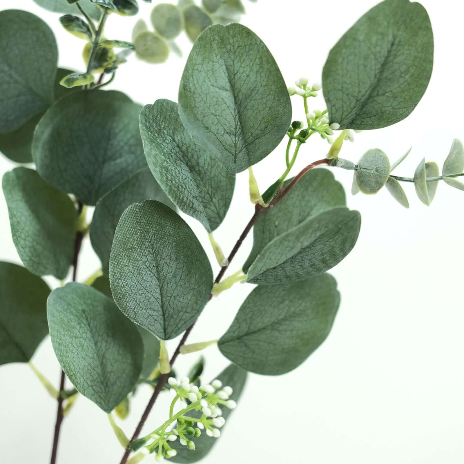 14 Stems Real Touch Artificial Eucalyptus Leaf Flower Bouquet, Faux Silver Dollar Branches, Vase Floral Arrangement 12" - Image 2