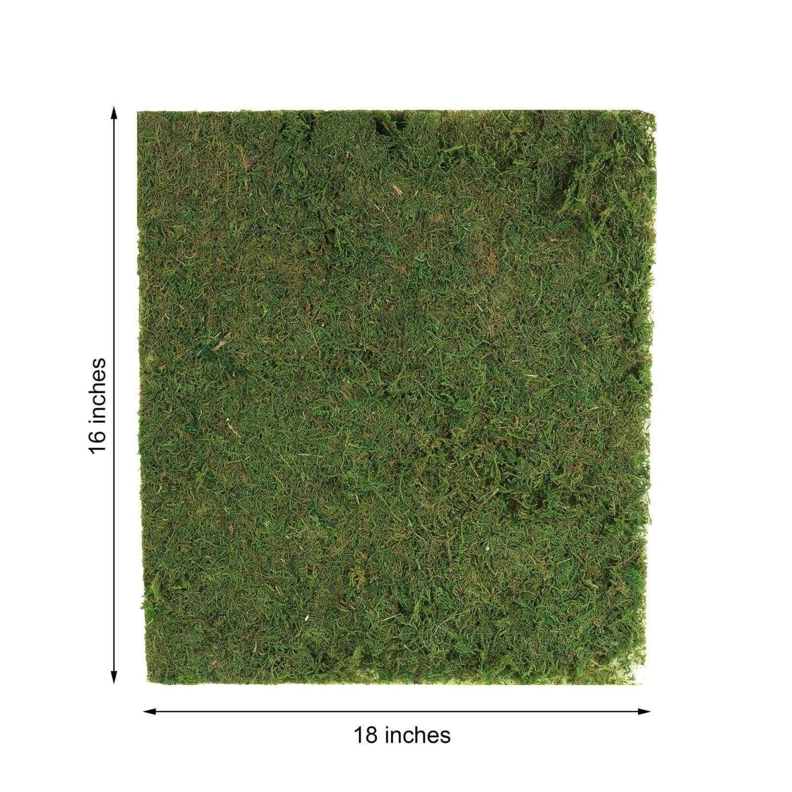 Preserved Natural Moss Wall Sheet Roll, Moss Landscape Panel 18"x16" - Image 6