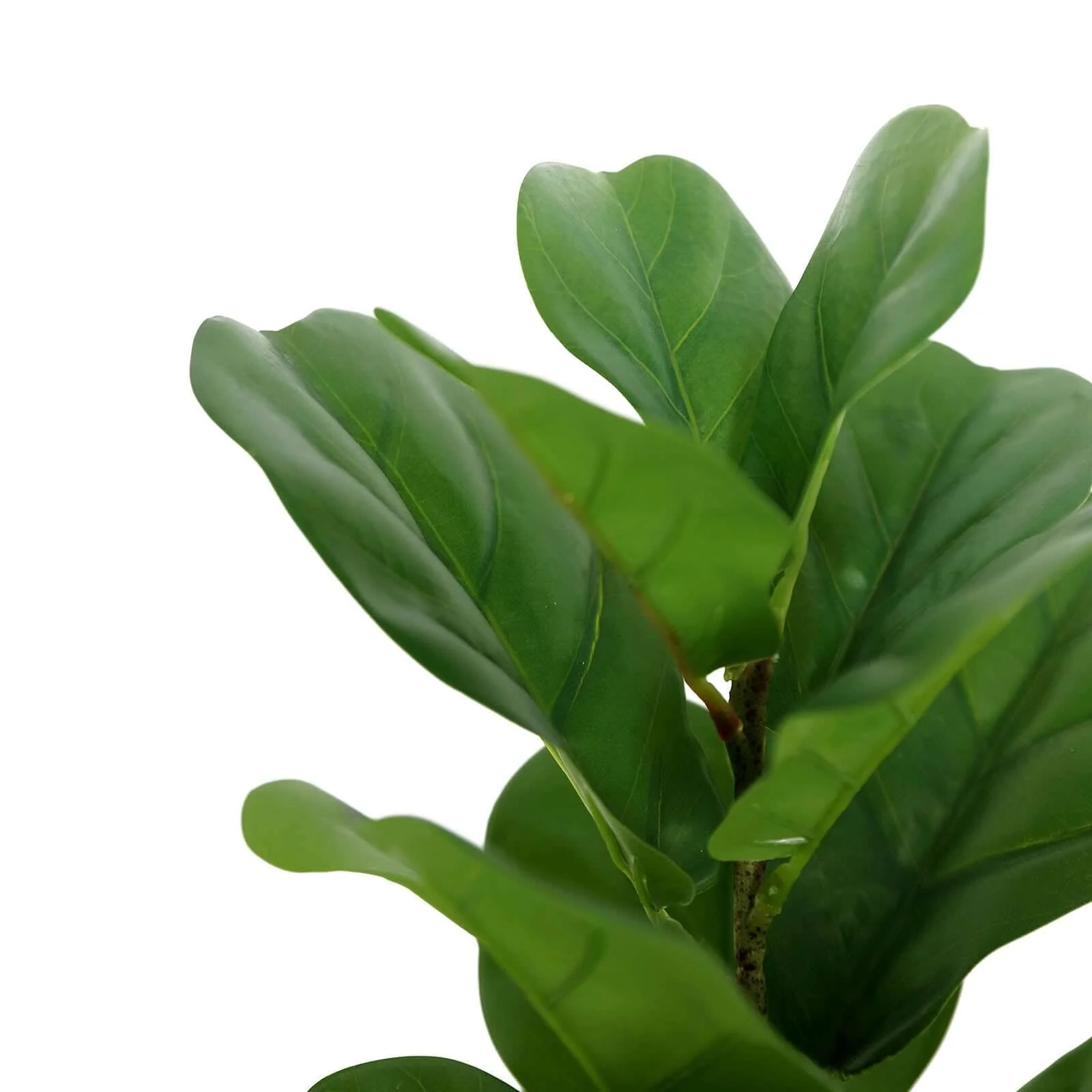 2 Bushes Green Artificial Fiddle Leaf Branch Stems, Faux Plants 25" - Image 12