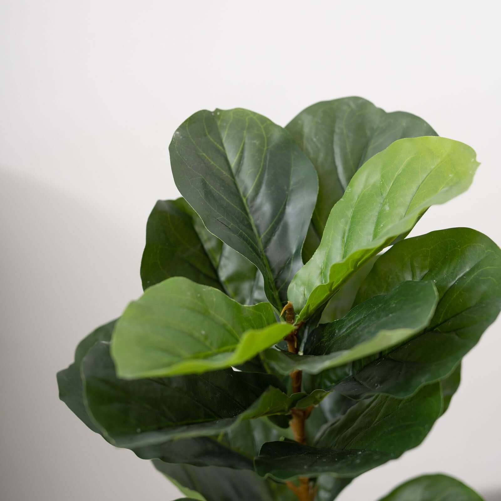 2 Pack Artificial Fiddle Leaf Fig Tree Potted Indoor Planter 3ft - Image 11