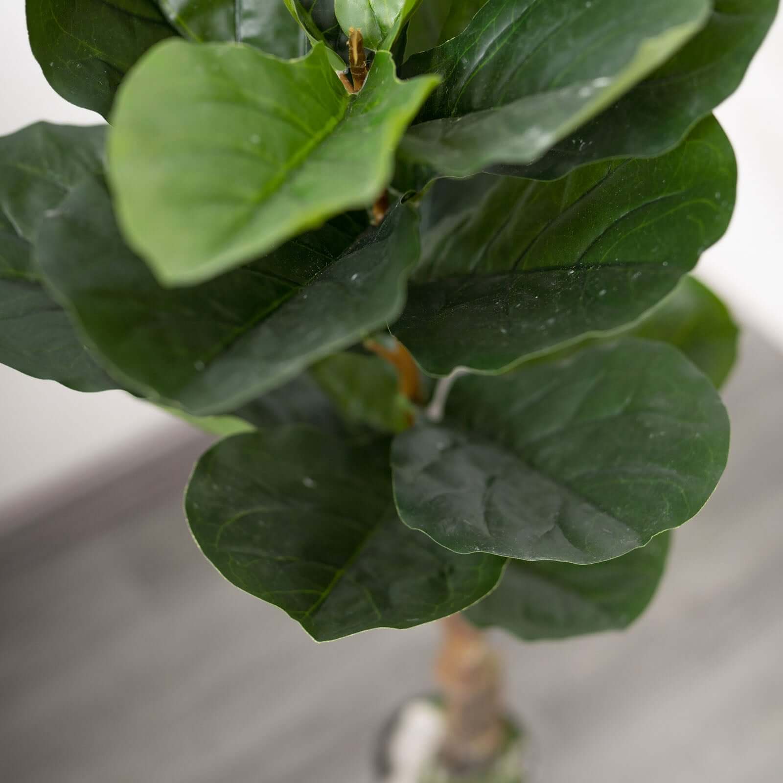 2 Pack Artificial Fiddle Leaf Fig Tree Potted Indoor Planter 3ft - Image 9