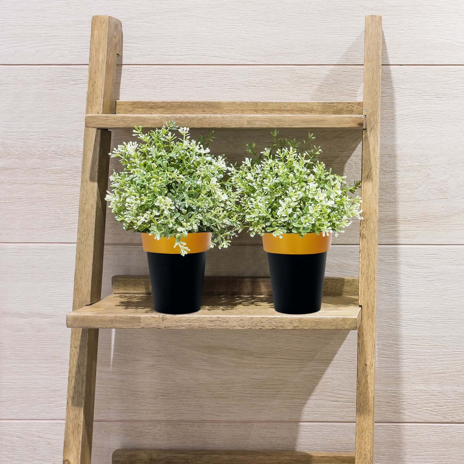 2-Pack Plastic Flower Plant Pots 6" Medium Black with Gold Rim - Indoor Decorative Planters - Image 6