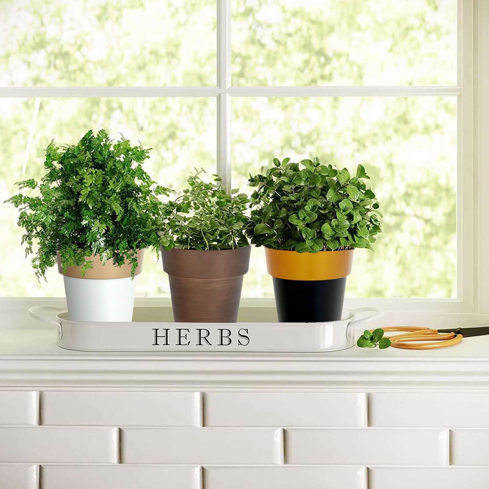 2-Pack Plastic Flower Plant Pots 6" Medium White with Gold Rim - Indoor Decorative Planters - Image 8