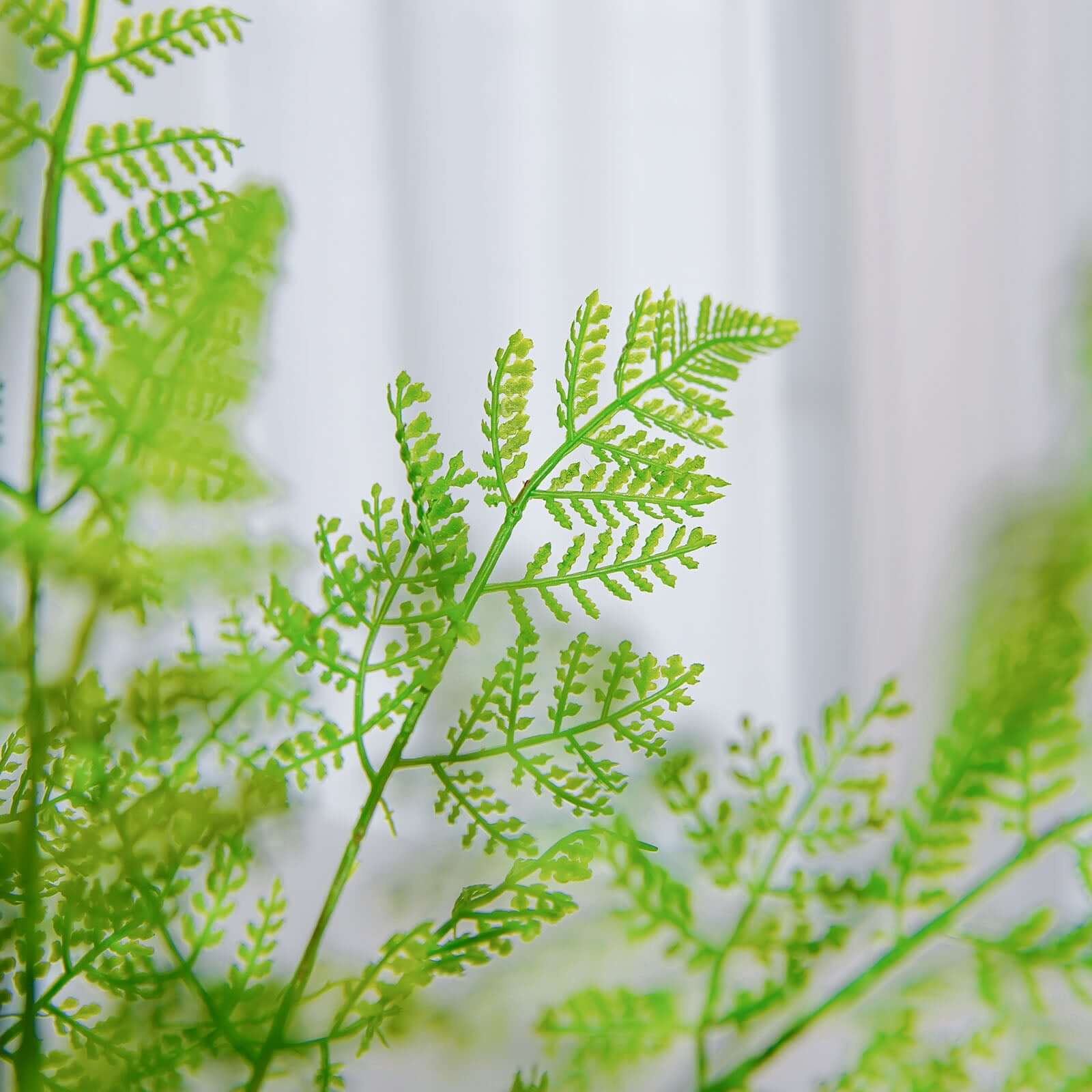 2 Stems Green Artificial Asparagus Fern Leaf Plant Indoor Faux Spray - Image 7