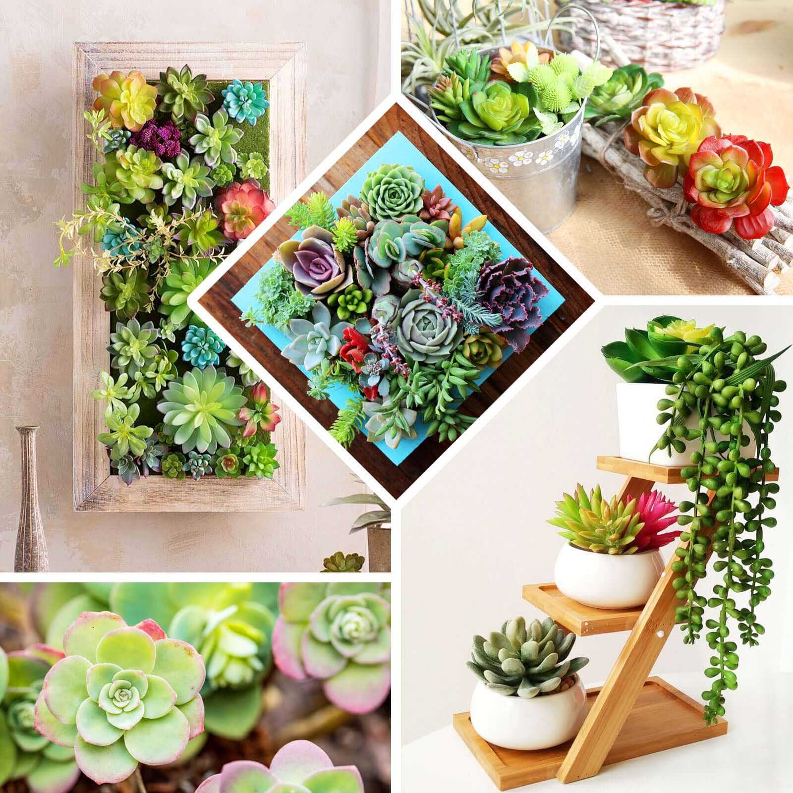 3 Pack Artificial PVC Roundleaf Echeveria Stem Succulent Plants 3" - Image 5