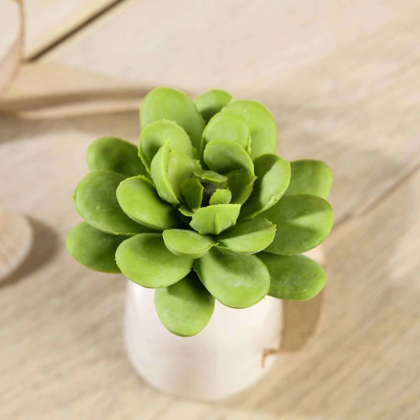 3 Pack Artificial PVC Roundleaf Echeveria Stem Succulent Plants 3" - Image 7