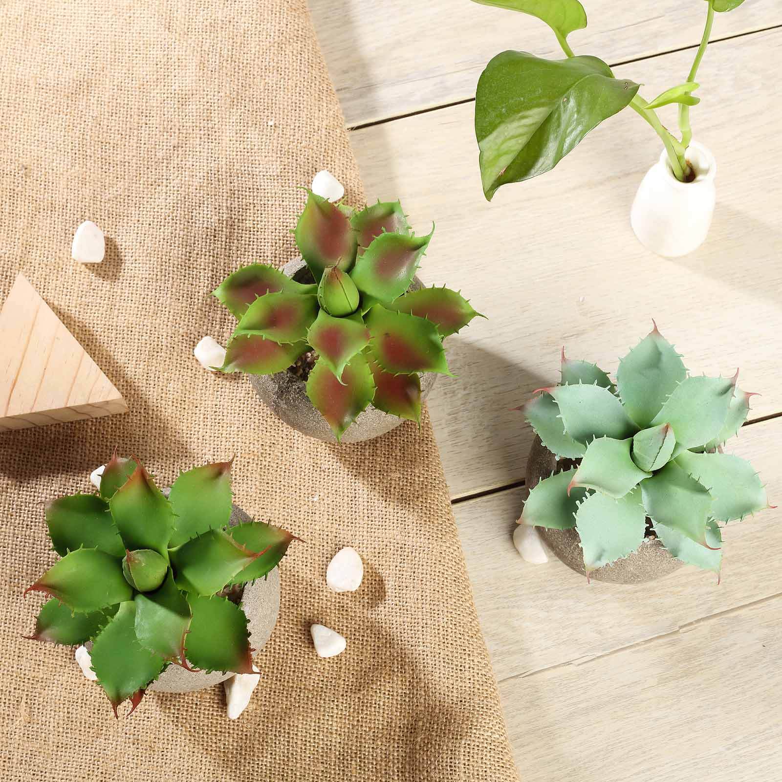 3-Pack Aloe Artificial Succulents in Ceramic Pot 5" - Realistic Maintenance-Free Faux Plants for Bathroom Coffee Table Shelves & Desk - Image 13