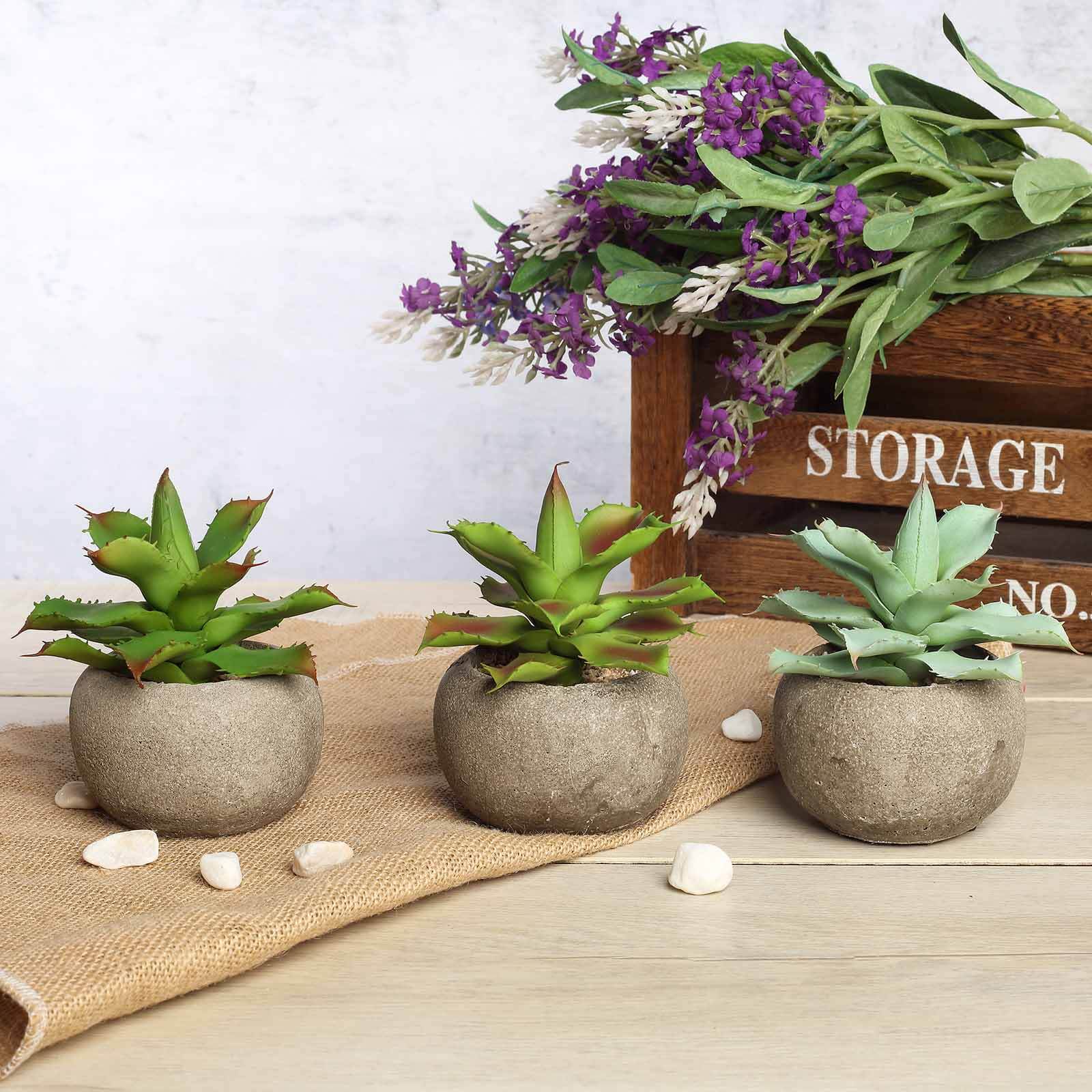 3-Pack Aloe Artificial Succulents in Ceramic Pot 5" - Realistic Maintenance-Free Faux Plants for Bathroom Coffee Table Shelves & Desk - Image 6