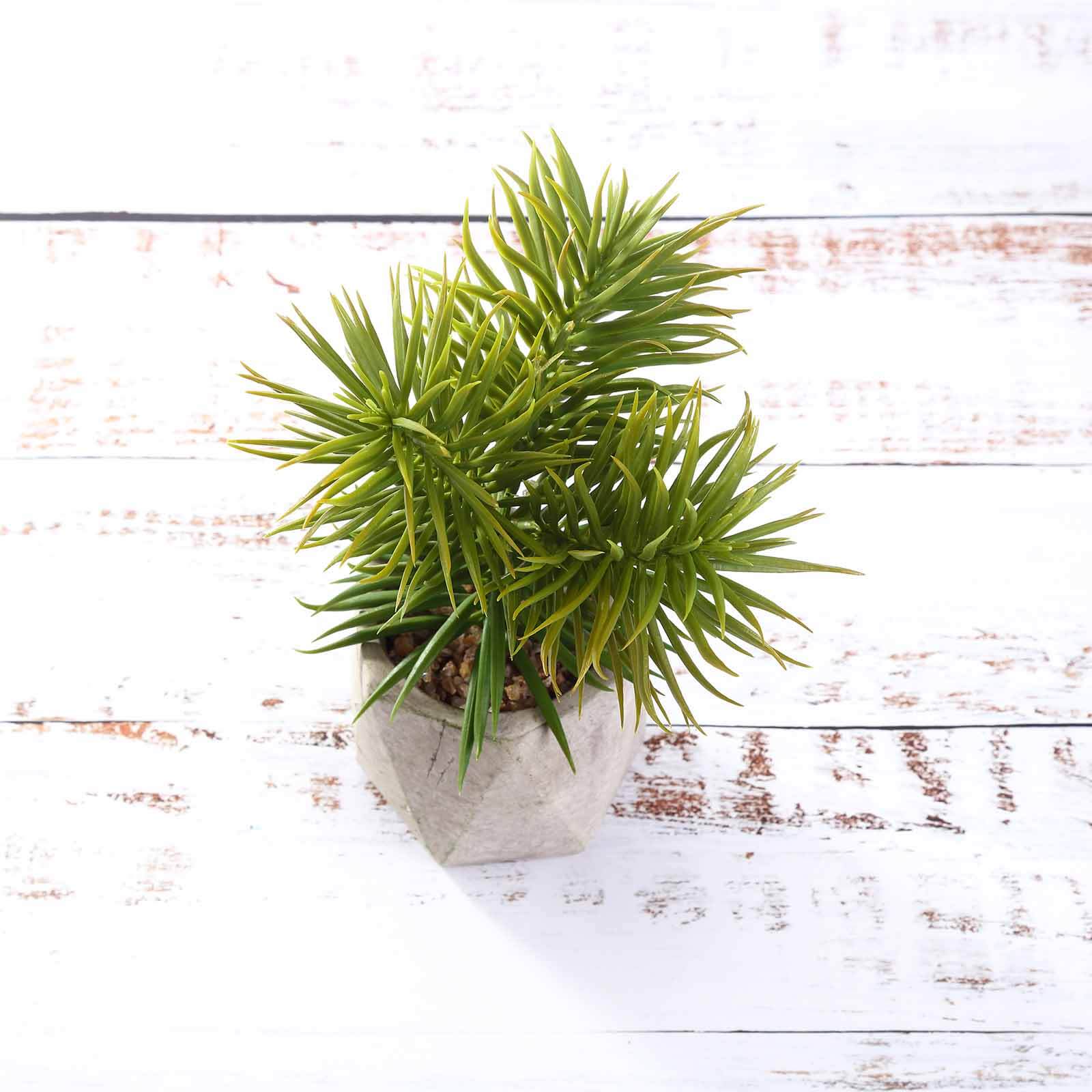 3-Pack Crassula Artificial Succulents in Geometric Ceramic Pot 8" - Realistic Maintenance-Free Faux Plants for Bathroom Coffee Table Shelves & Desk - Image 6