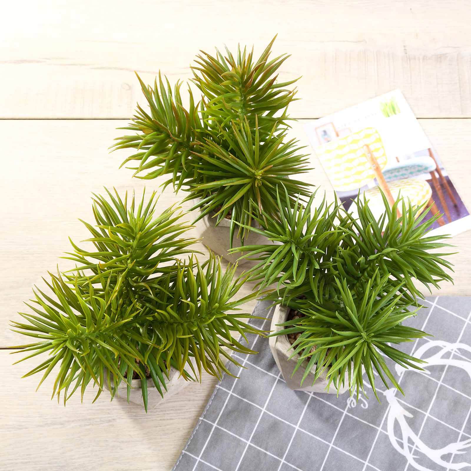 3-Pack Crassula Artificial Succulents in Geometric Ceramic Pot 8" - Realistic Maintenance-Free Faux Plants for Bathroom Coffee Table Shelves & Desk - Image 8