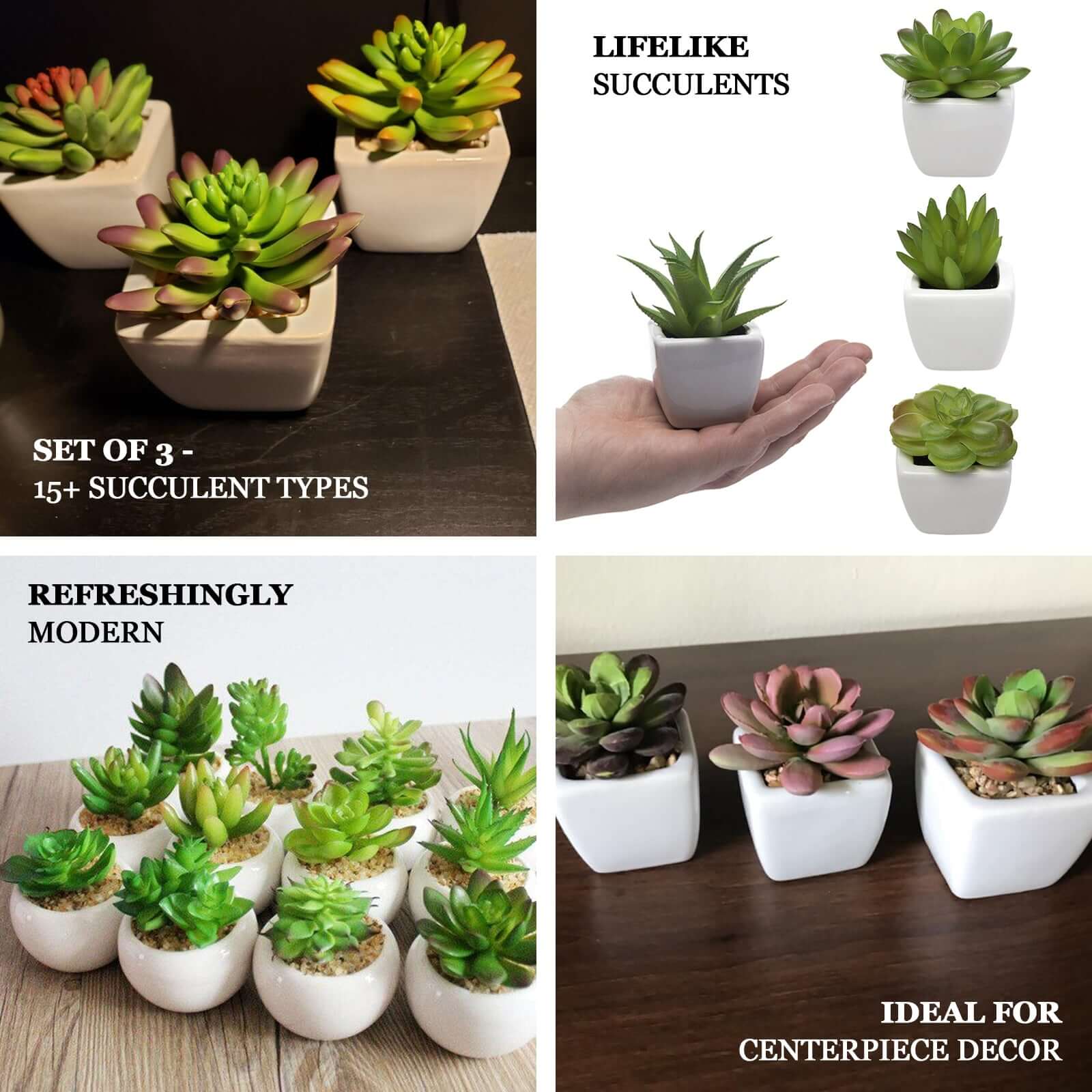 3-Pack Echeveria Artificial Succulents in Ceramic Pot 4" Green - Realistic Maintenance-Free Faux Plants for Bathroom Coffee Table Shelves & Desk - Image 4
