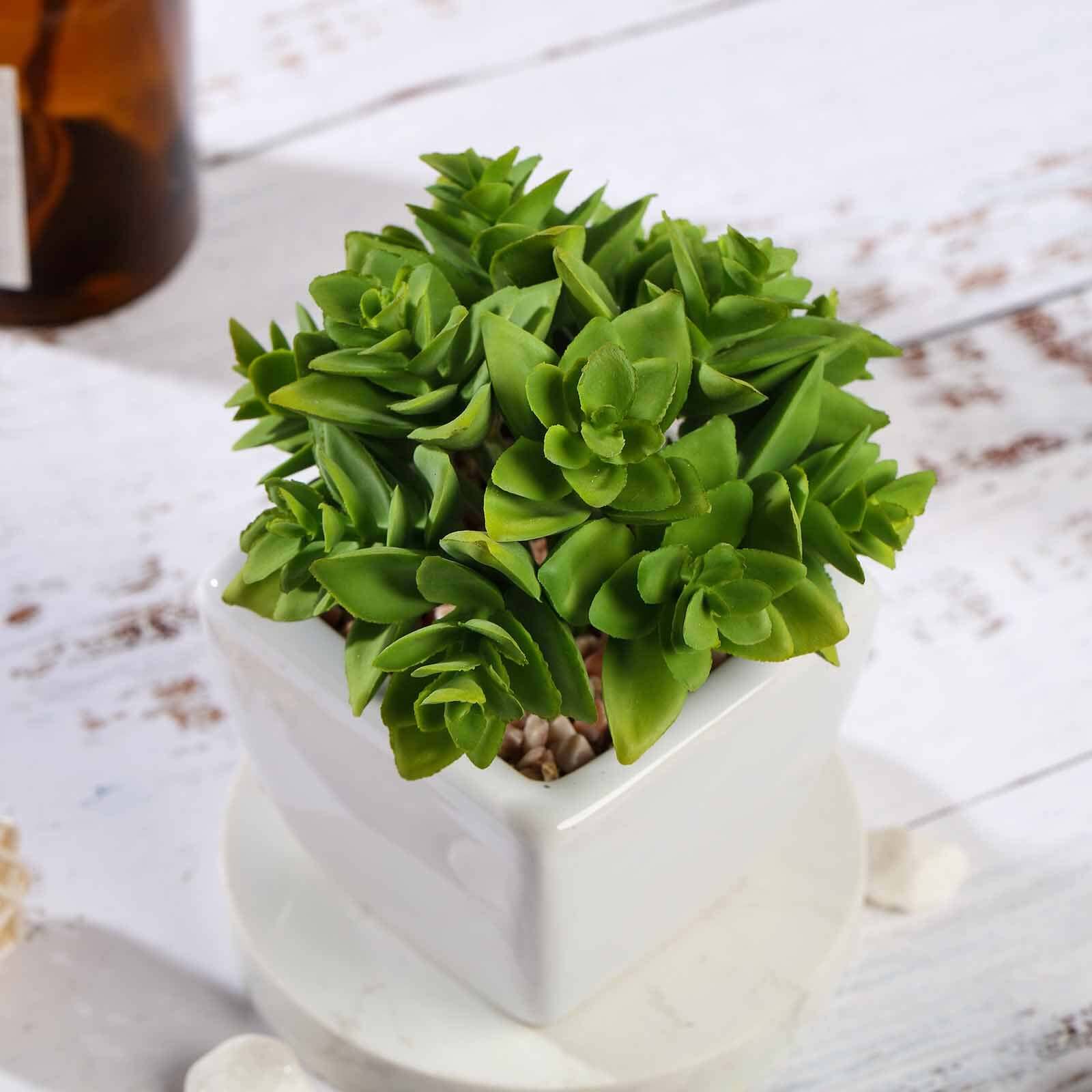 3-Pack Echeveria Artificial Succulents in Ceramic Pot 4" Green - Realistic Maintenance-Free Faux Plants for Bathroom Coffee Table Shelves & Desk - Image 6
