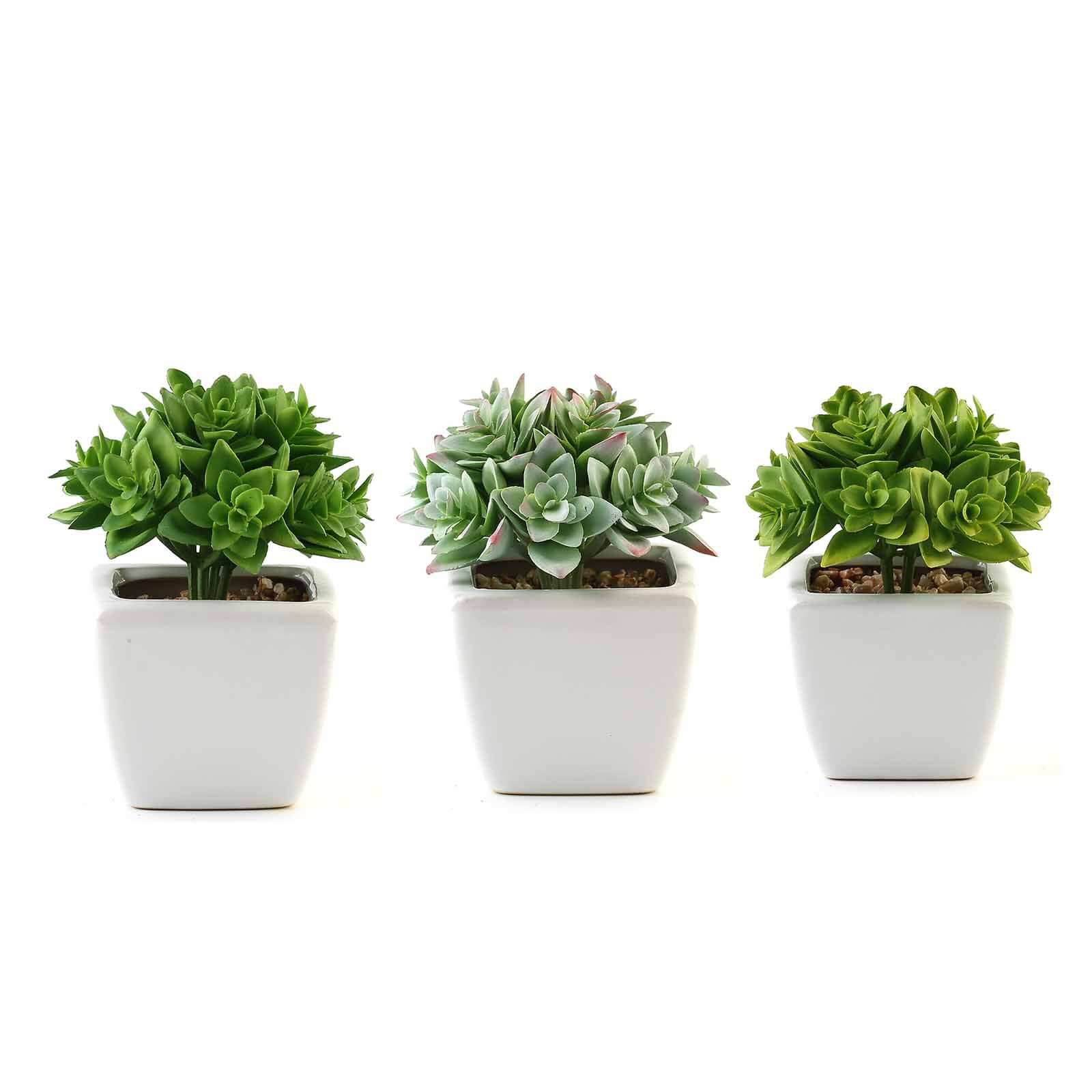 3-Pack Echeveria Artificial Succulents in Ceramic Pot 4" Green - Realistic Maintenance-Free Faux Plants for Bathroom Coffee Table Shelves & Desk - Image 7