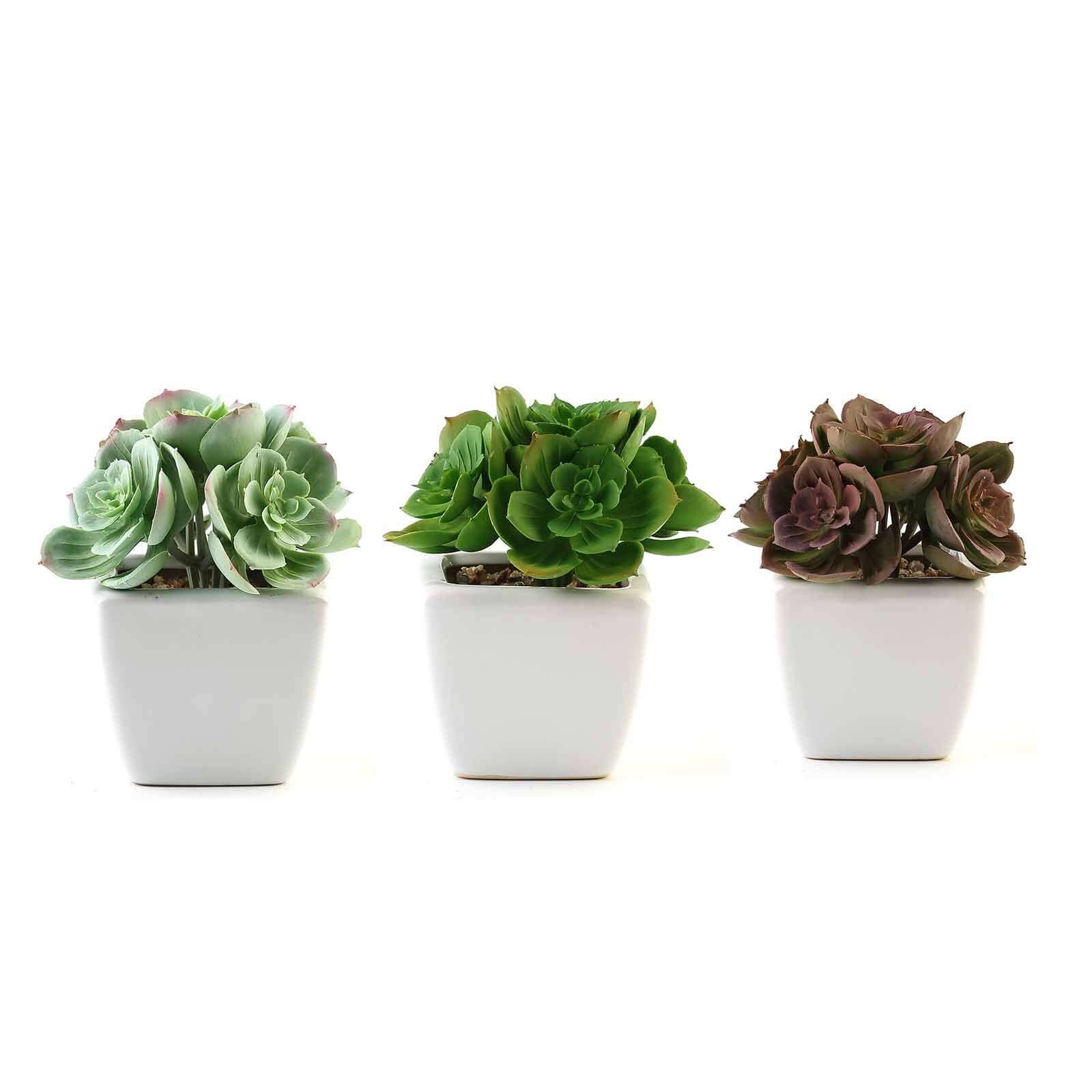 3-Pack Echeveria Elegans Artificial Succulents in Ceramic Pot 5" - Realistic Maintenance-Free Faux Plants for Bathroom Coffee Table Shelves & Desk - Image 7