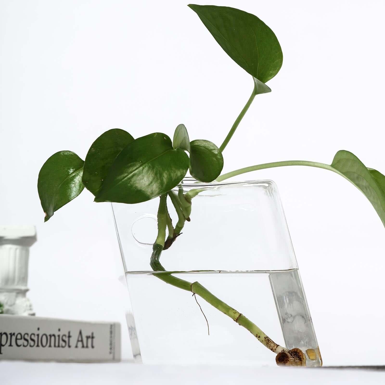 3-Pack Glass Wall Vase Rhombus Design Hanging Indoor Planters - Stylish Wall Mounted Terrariums for Home Decor - Image 12