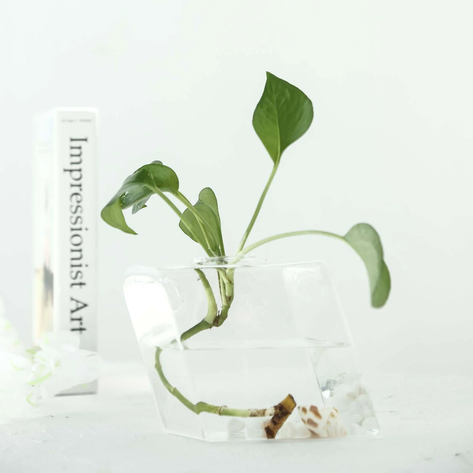3-Pack Glass Wall Vase Rhombus Design Hanging Indoor Planters - Stylish Wall Mounted Terrariums for Home Decor - Image 13
