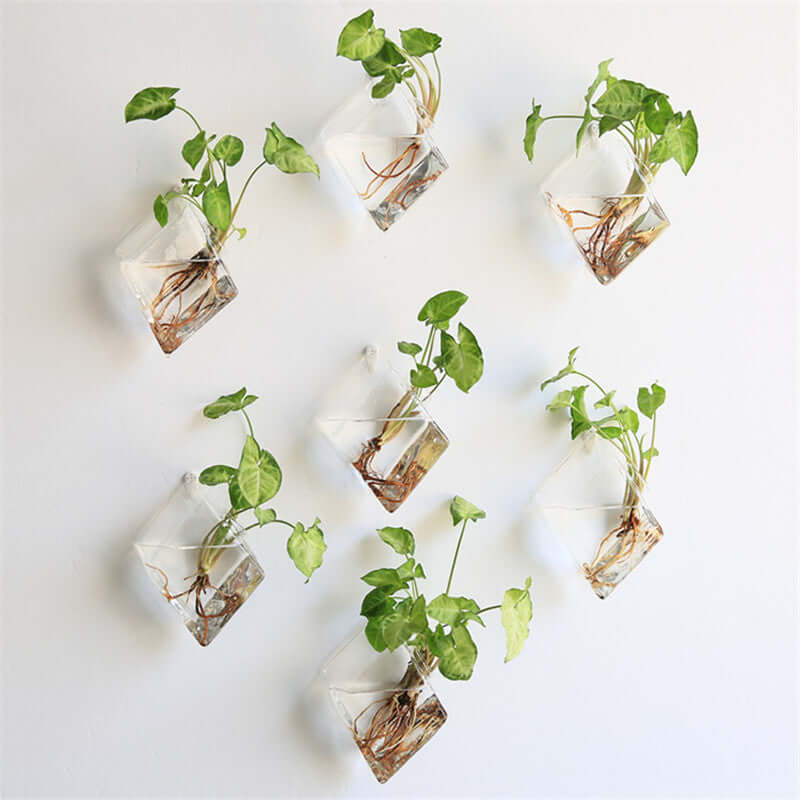 3-Pack Glass Wall Vase Rhombus Design Hanging Indoor Planters - Stylish Wall Mounted Terrariums for Home Decor - Image 14