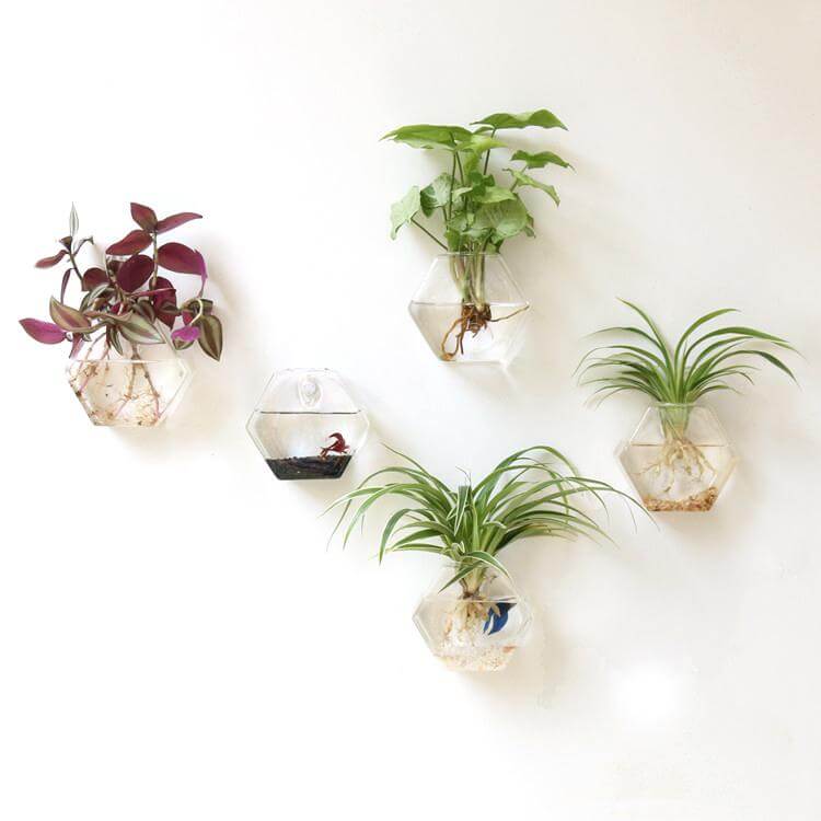 3-Pack Glass Wall Vase Rhombus Design Hanging Indoor Planters - Stylish Wall Mounted Terrariums for Home Decor - Image 15