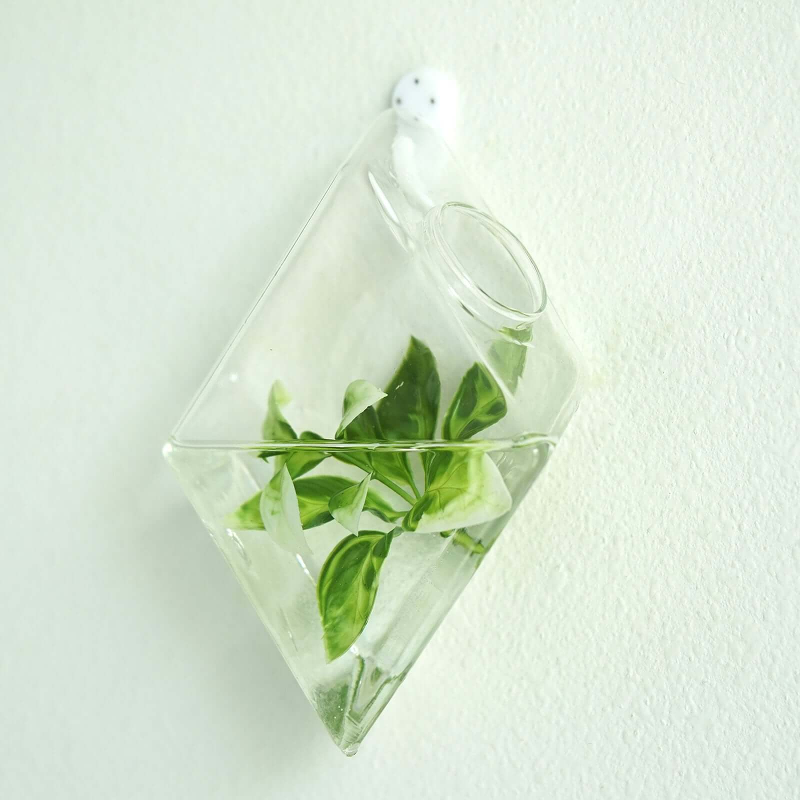 3-Pack Glass Wall Vase Rhombus Design Hanging Indoor Planters - Stylish Wall Mounted Terrariums for Home Decor - Image 25