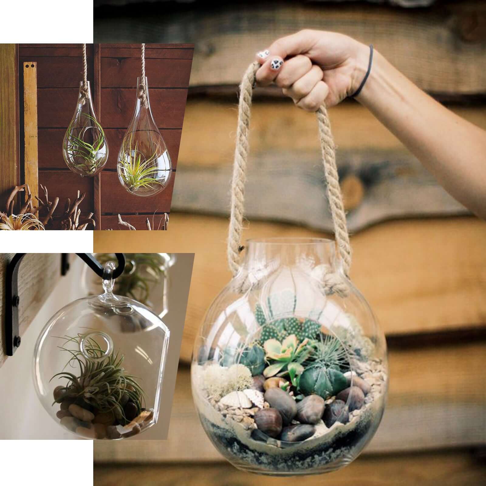 3-Pack Glass Wall Vase Rhombus Design Hanging Indoor Planters - Stylish Wall Mounted Terrariums for Home Decor - Image 6