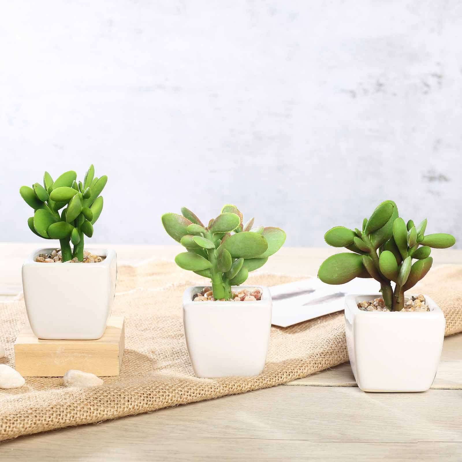3-Pack Mini Jade Artificial Succulents in Ceramic Pots 3" - Realistic Maintenance-Free Faux Plants for Bathroom Coffee Table Shelves & Desk - Image 10