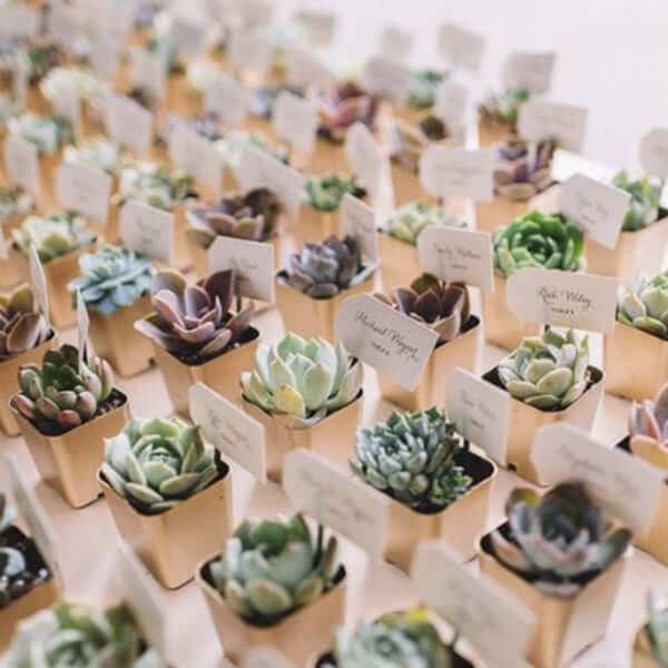 3-Pack Mini Jade Artificial Succulents in Ceramic Pots 3" - Realistic Maintenance-Free Faux Plants for Bathroom Coffee Table Shelves & Desk - Image 14