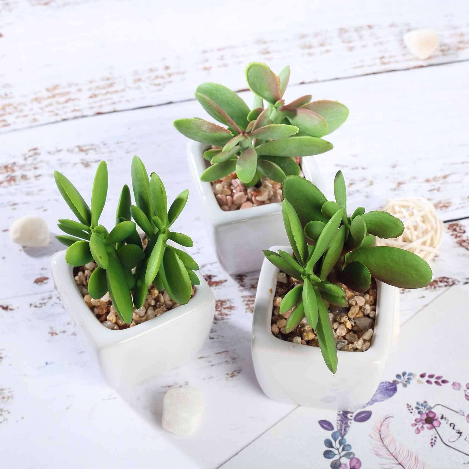 3-Pack Mini Jade Artificial Succulents in Ceramic Pots 3" - Realistic Maintenance-Free Faux Plants for Bathroom Coffee Table Shelves & Desk - Image 6