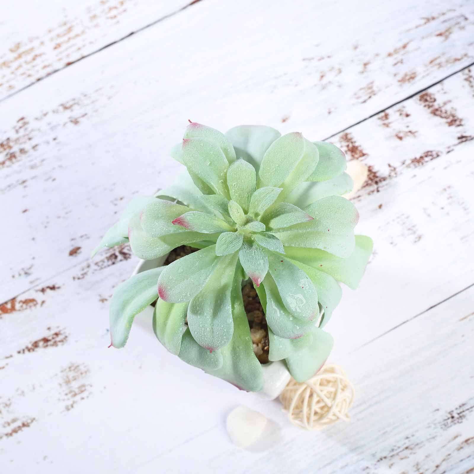 3-Pack Minibelle, Elegans & Grassneri Artificial Succulents in Ceramic Pot 5" - Realistic Maintenance-Free Faux Plants for Bathroom Coffee Table Shelves & Desk - Image 8