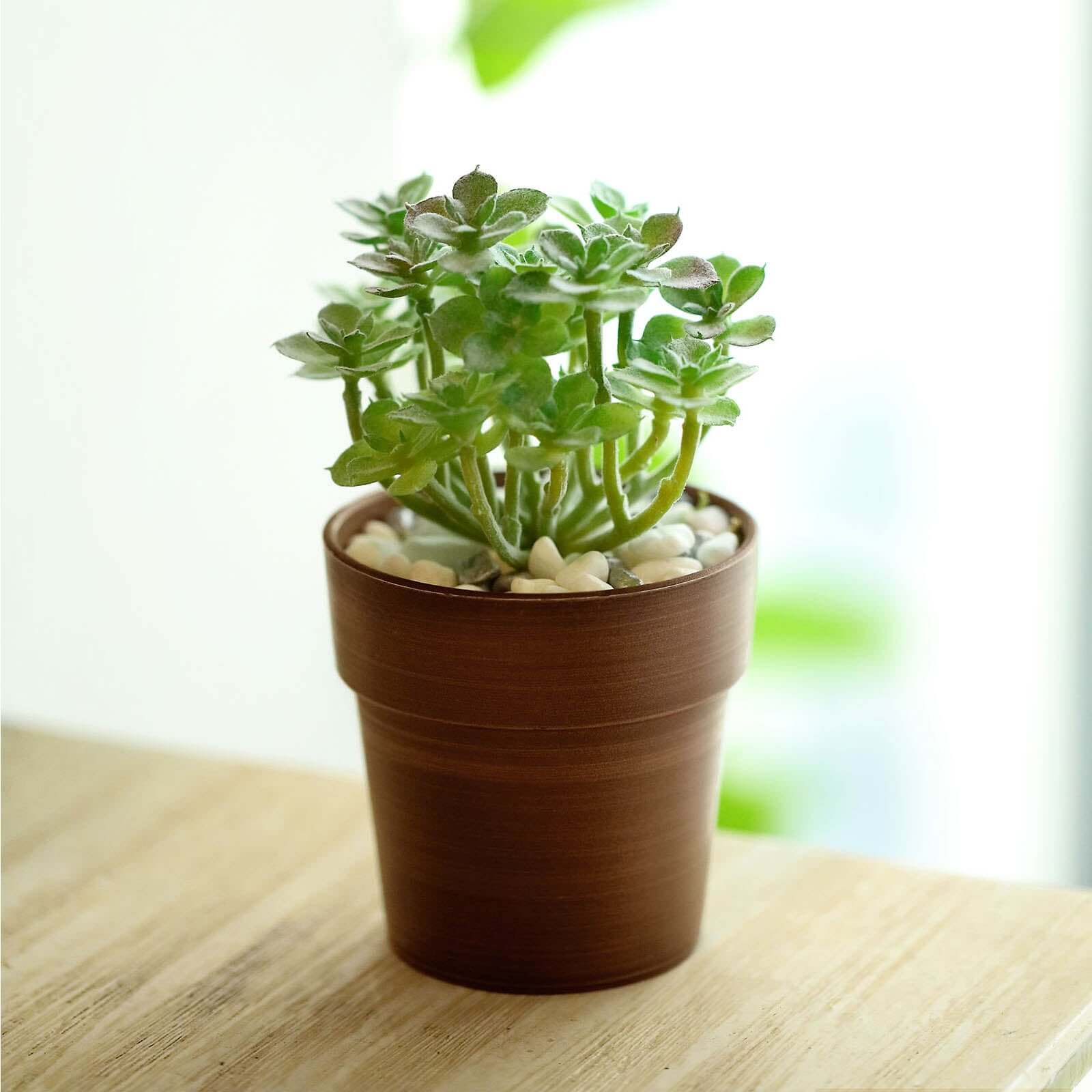 3-Pack Plastic Flower Plant Pots 3" Small Rustic Brown - Indoor Decorative Planters - Image 11