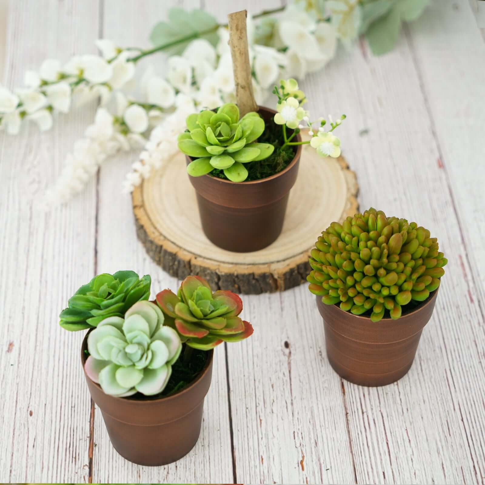 3-Pack Plastic Flower Plant Pots 3" Small Rustic Brown - Indoor Decorative Planters - Image 14