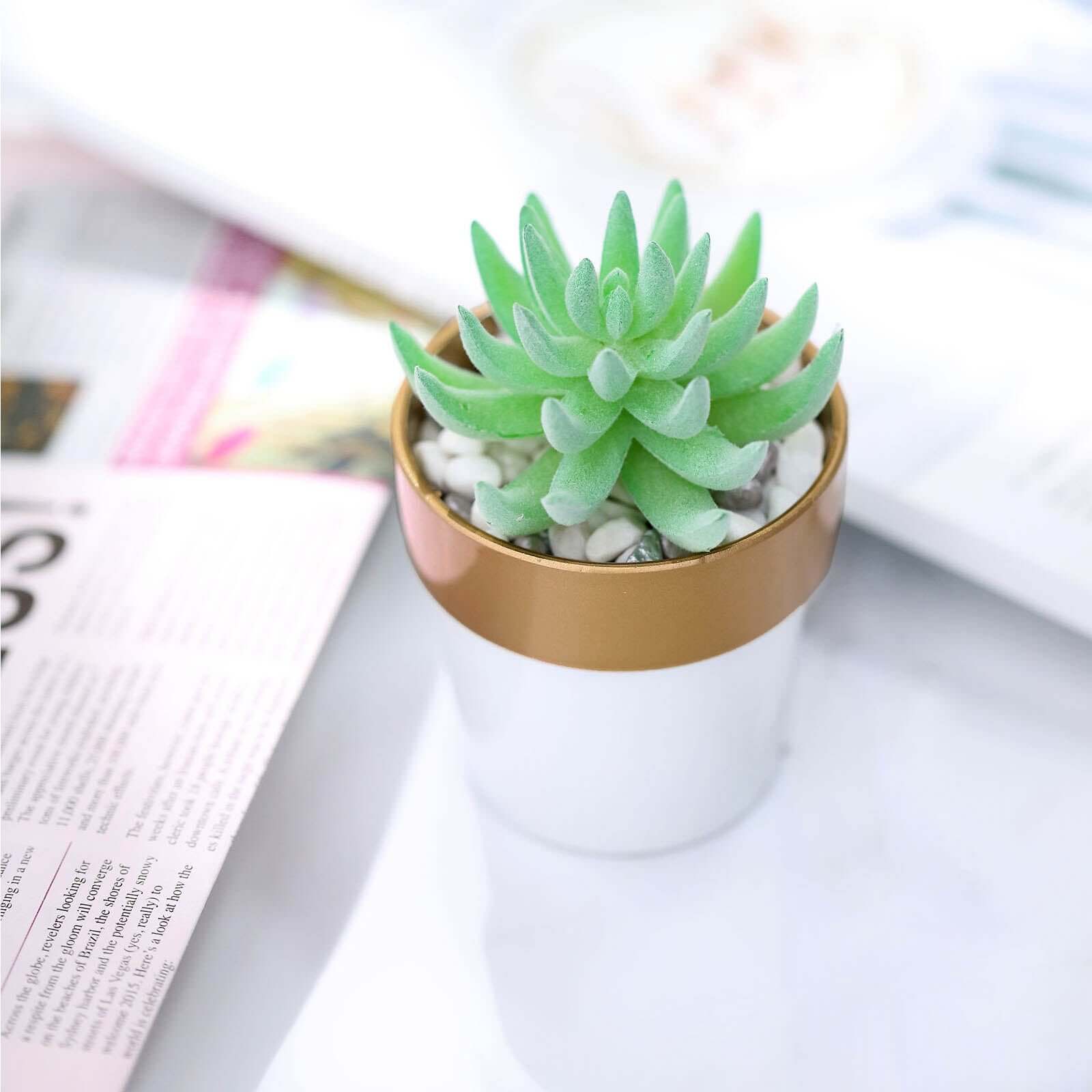 3-Pack Plastic Flower Plant Pots 3" White with Gold Rim - Indoor Decorative Planters - Image 13