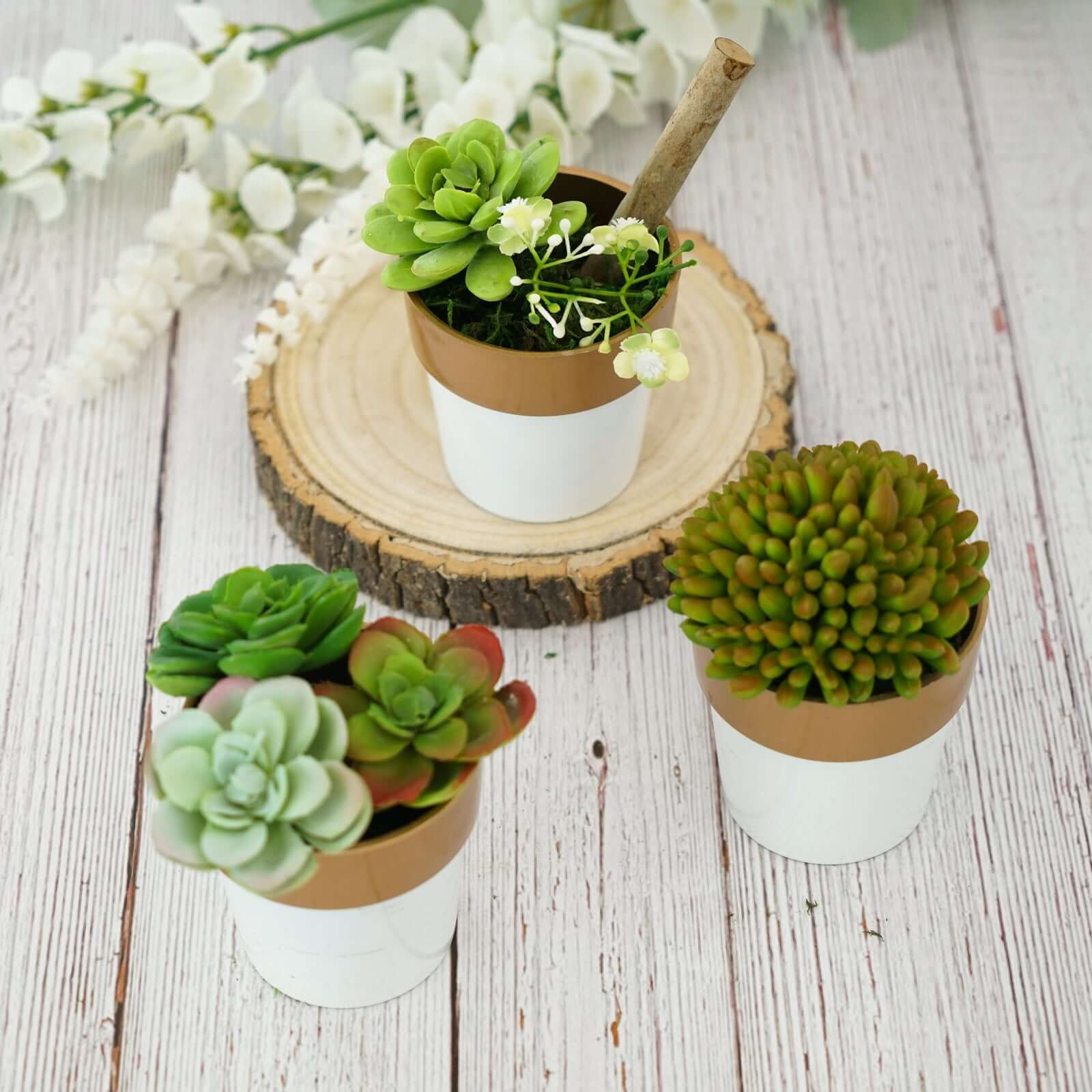 3-Pack Plastic Flower Plant Pots 3" White with Gold Rim - Indoor Decorative Planters - Image 9