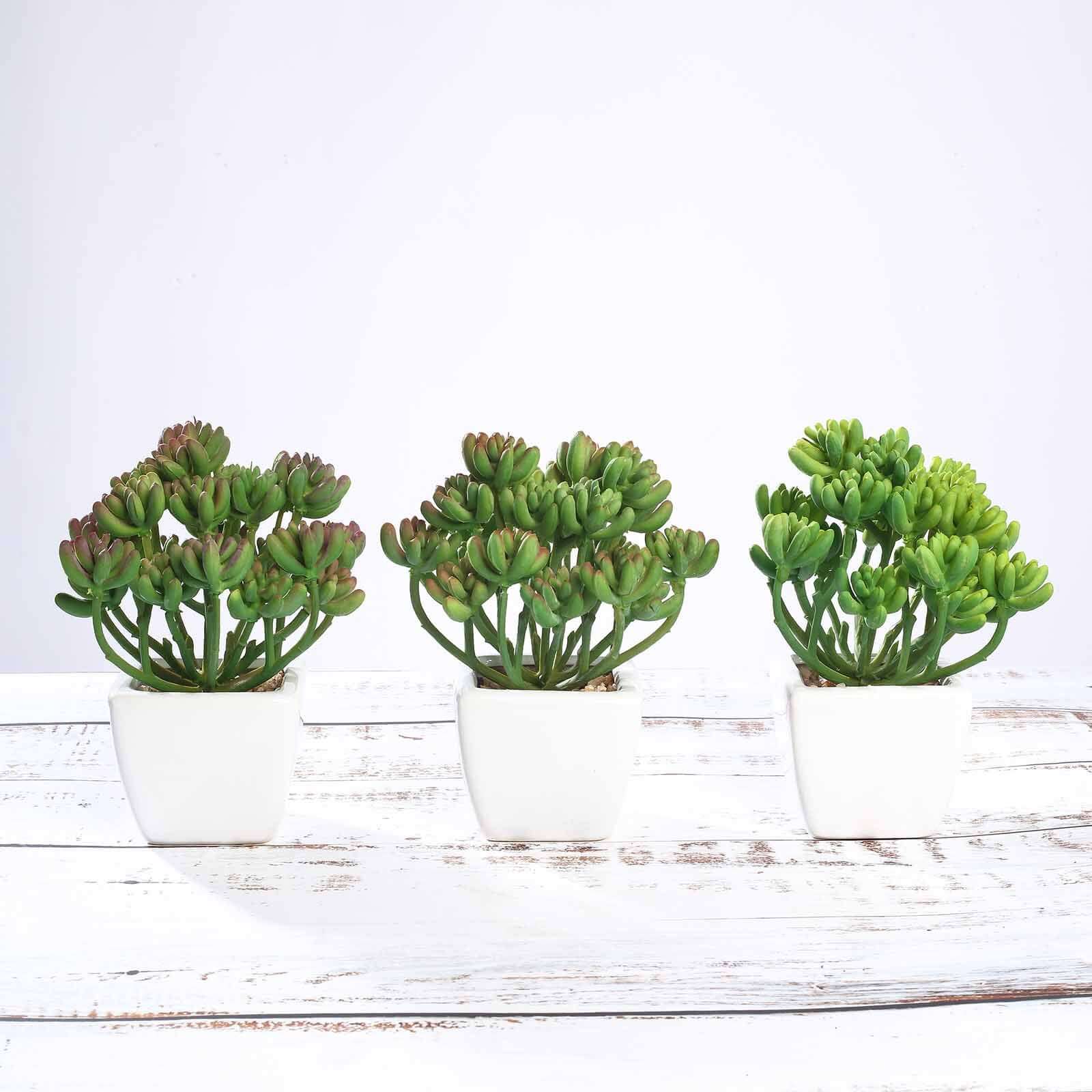 3-Pack Stonecrop Artificial Succulents in Ceramic Pots 7" - Realistic Maintenance-Free Faux Plants for Bathroom Coffee Table Shelves & Desk - Image 6