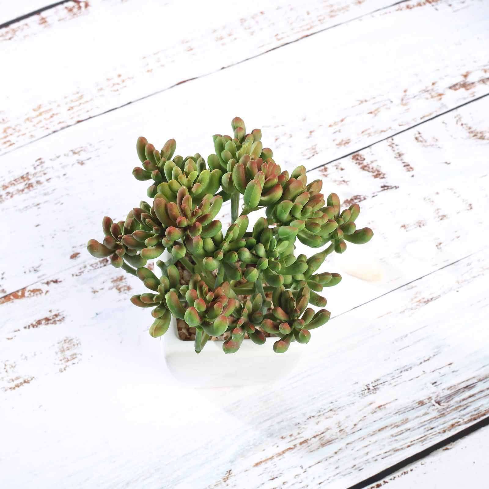 3-Pack Stonecrop Artificial Succulents in Ceramic Pots 7" - Realistic Maintenance-Free Faux Plants for Bathroom Coffee Table Shelves & Desk - Image 8