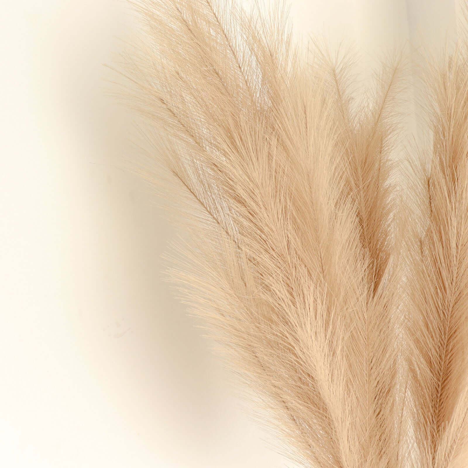 3 Stems Artificial Pampas Grass Decor 44" Taupe - Fluffy Faux Ornamental Grass Branches - Image 13